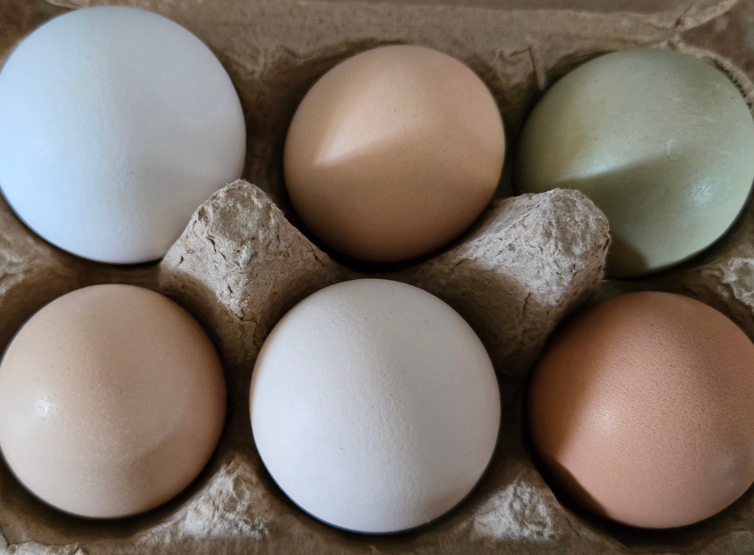 H.E.R. LIVING CAMPUS