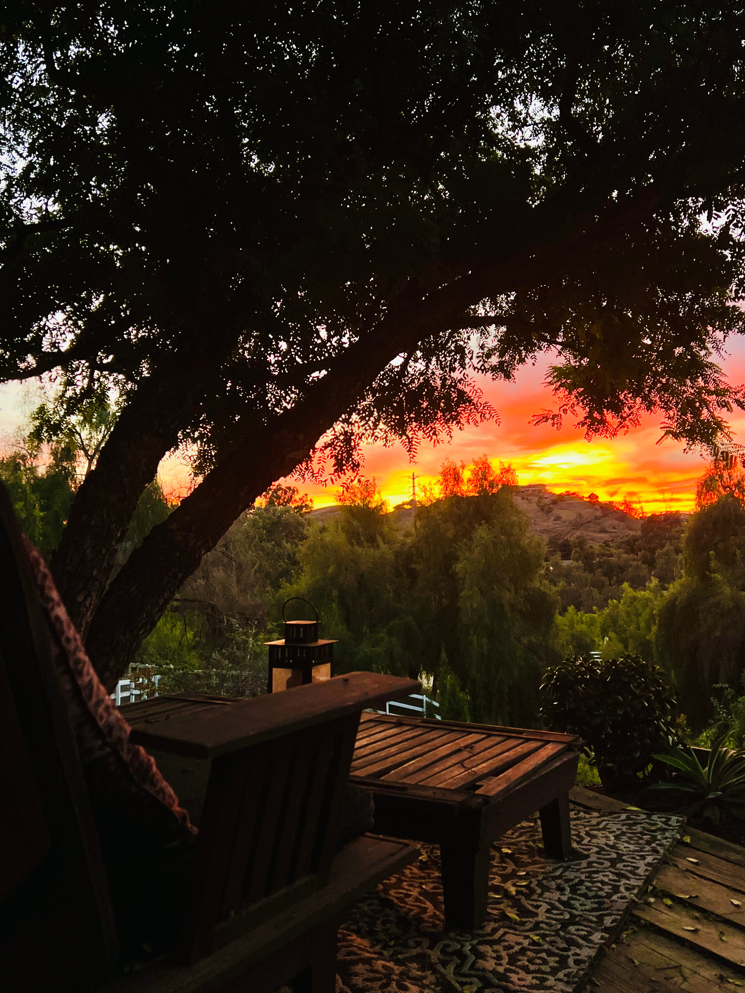 Tiny Home Cabin in the Hills