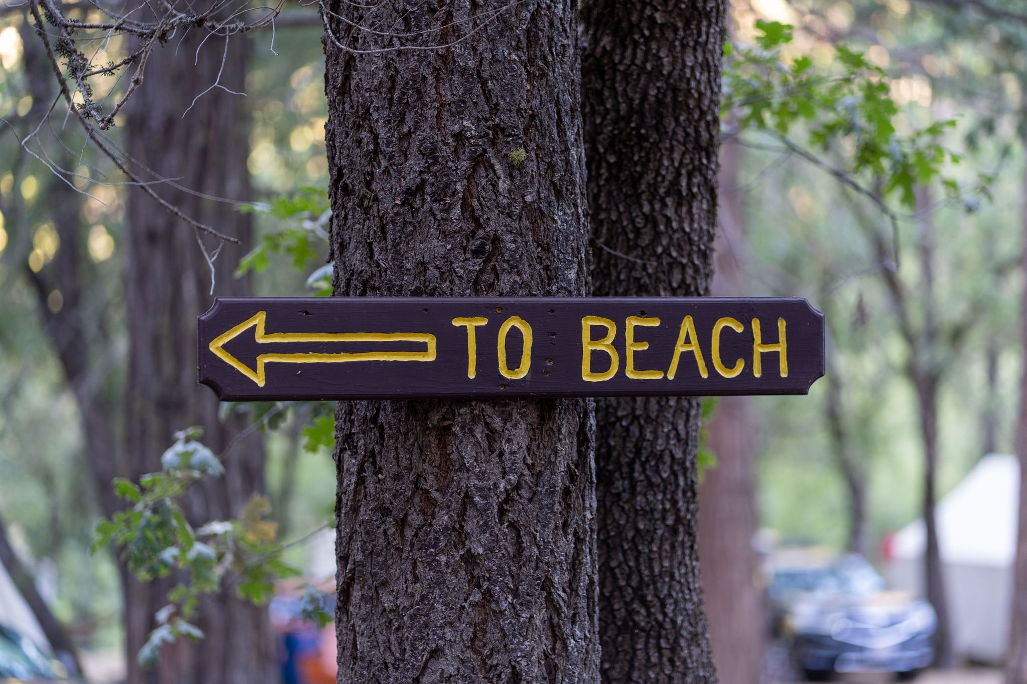 Oakland Feather River Camp