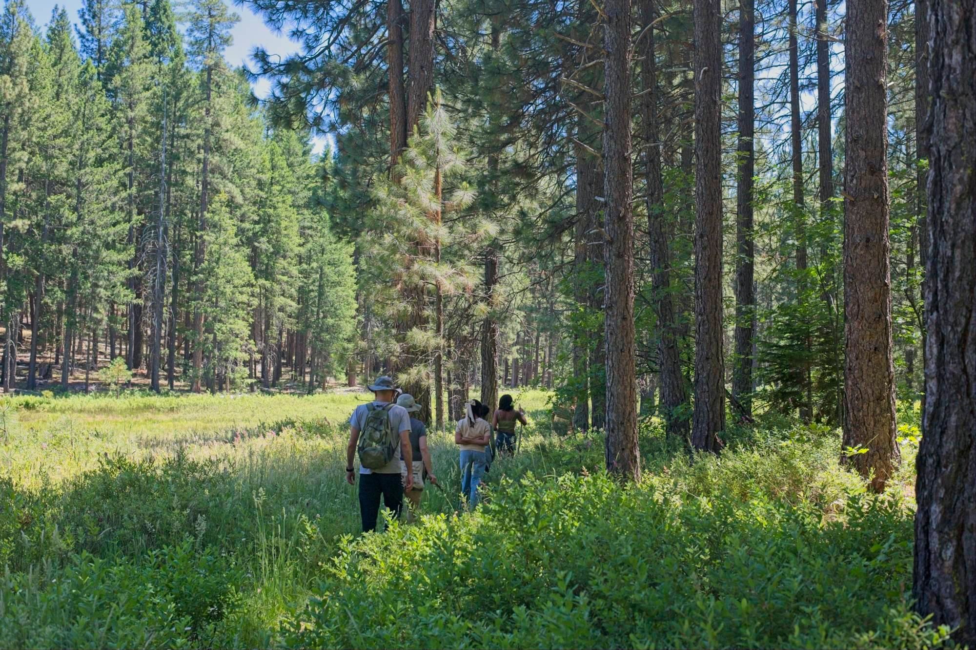 Oakland Feather River Camp