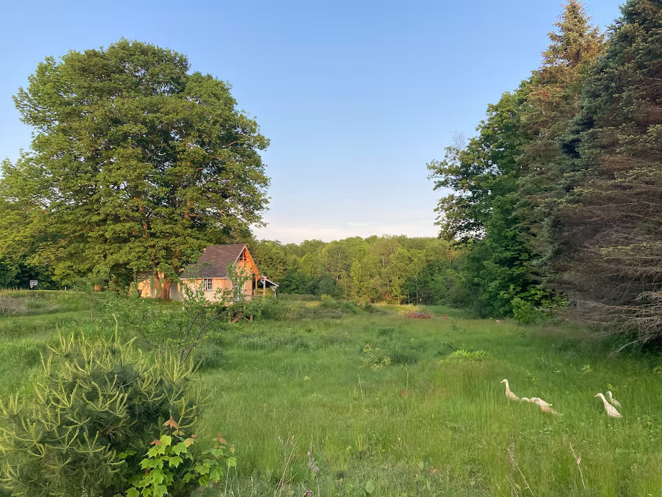 Firefly Cottage