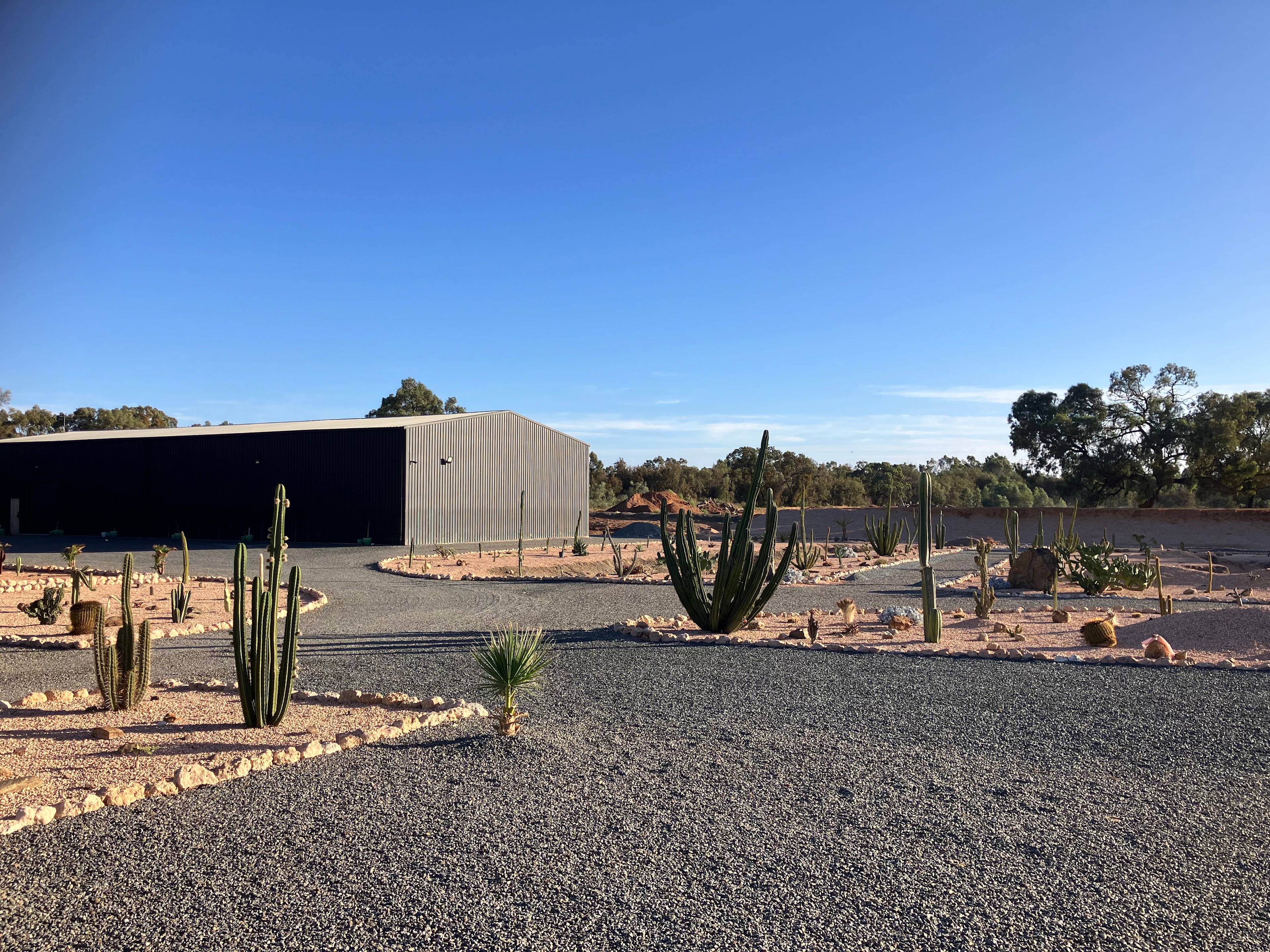 Cactus Valley Sunraysia