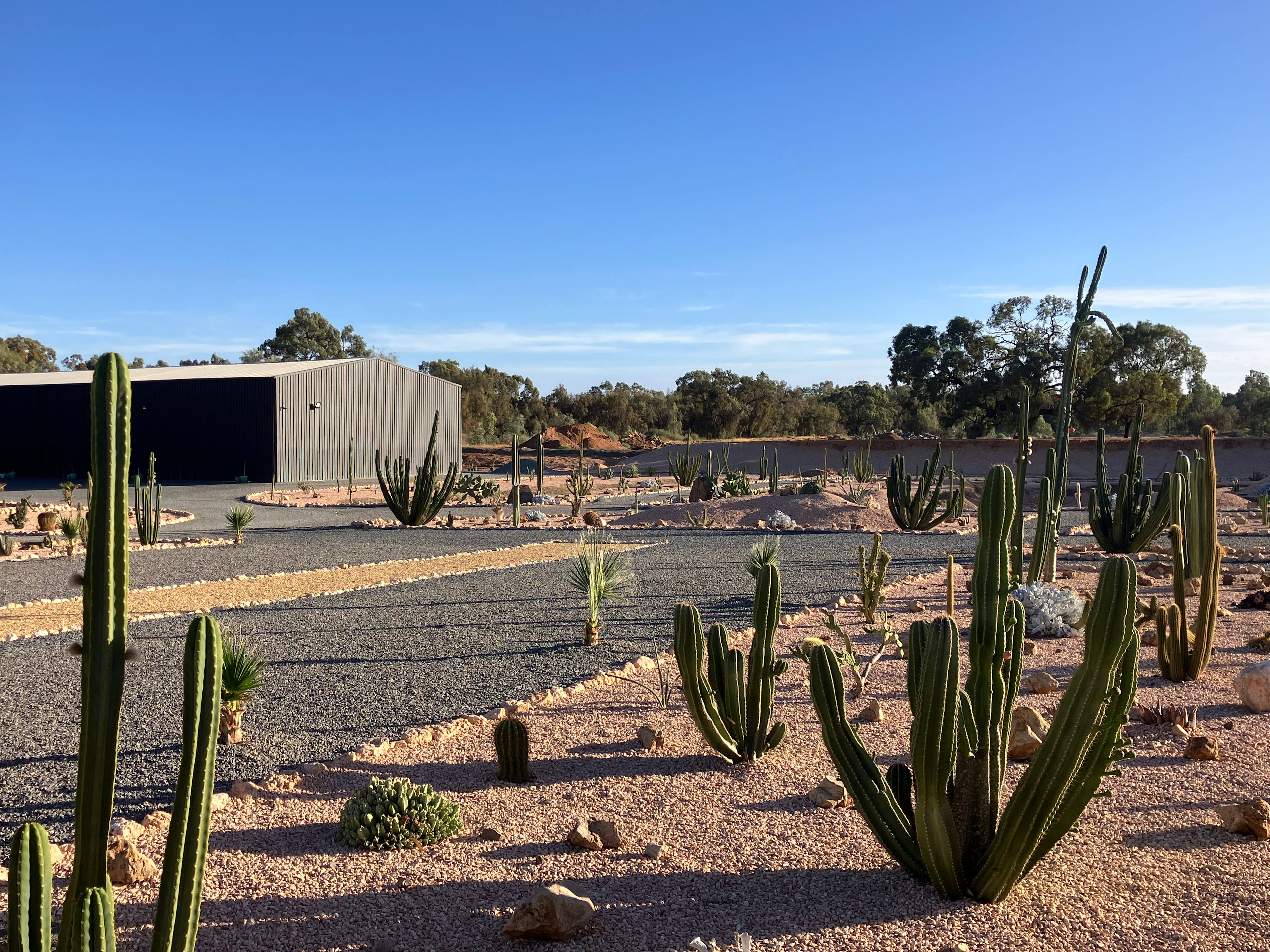 Cactus Valley Sunraysia