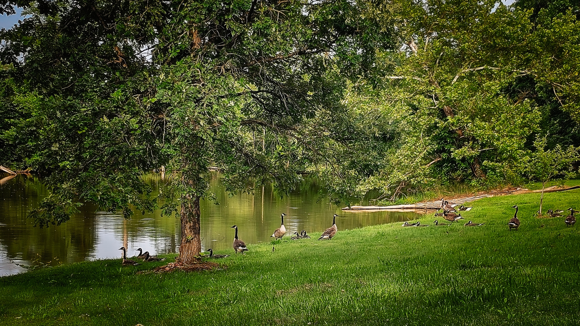 The Last Resort - Beatrice 