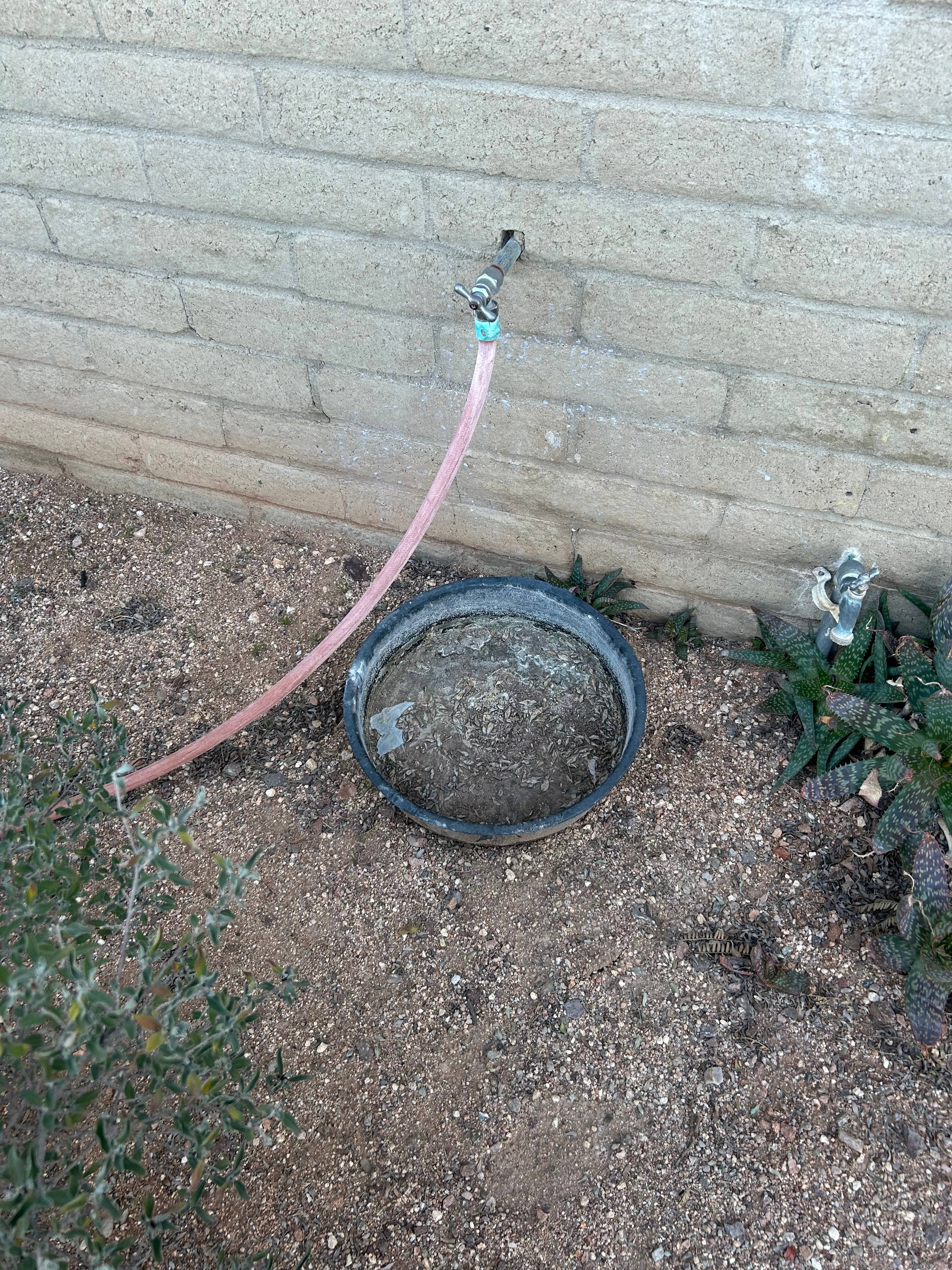 JJ's Big Town Get Away