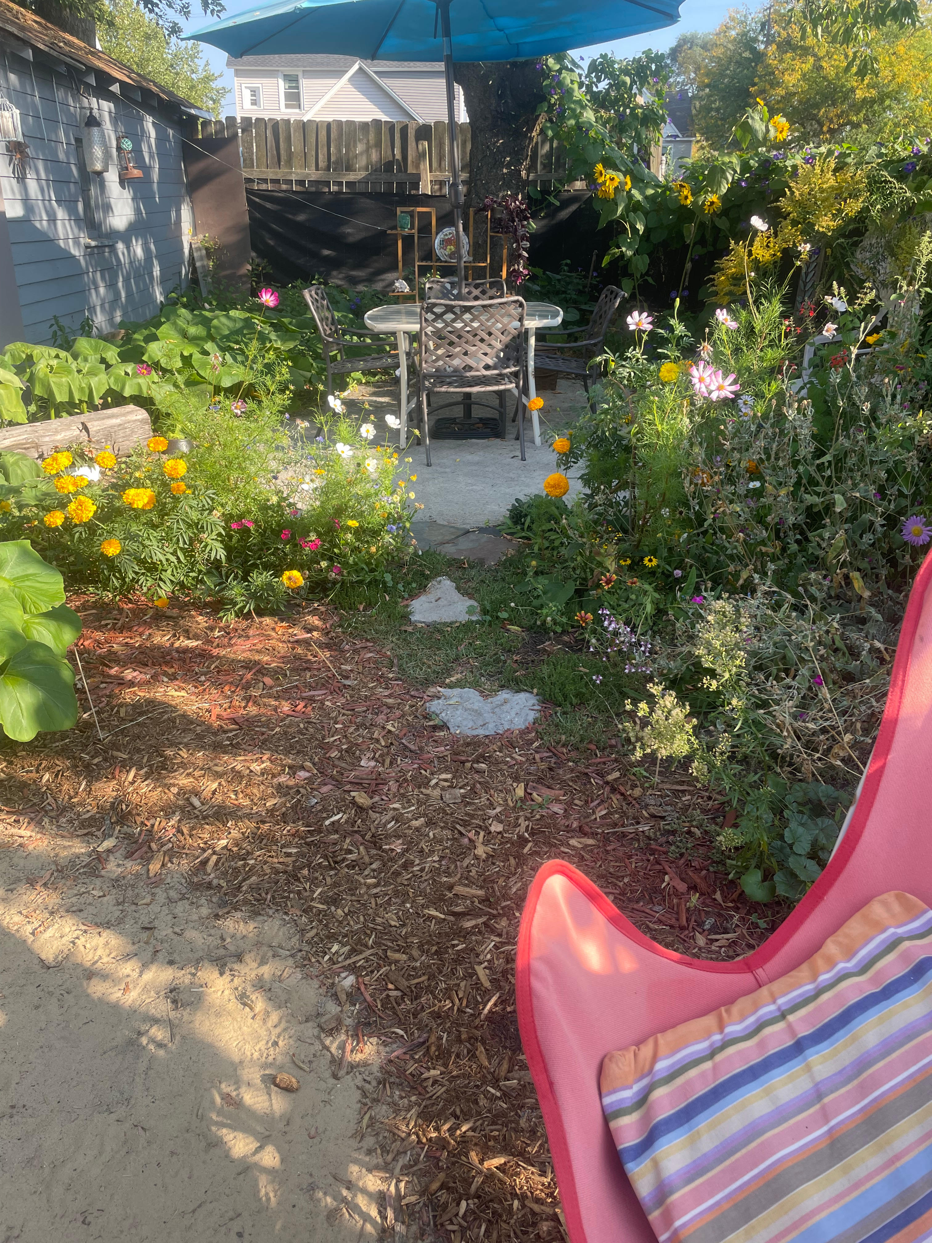 As summer passes, the backyard fills up with/ magnificent scents, colors & pollinators!
🦋🐝🪻🌷🌻🌸⛺️🌸🌻🌷🪻🐝🦋 
View of picnic area, from🔥pit