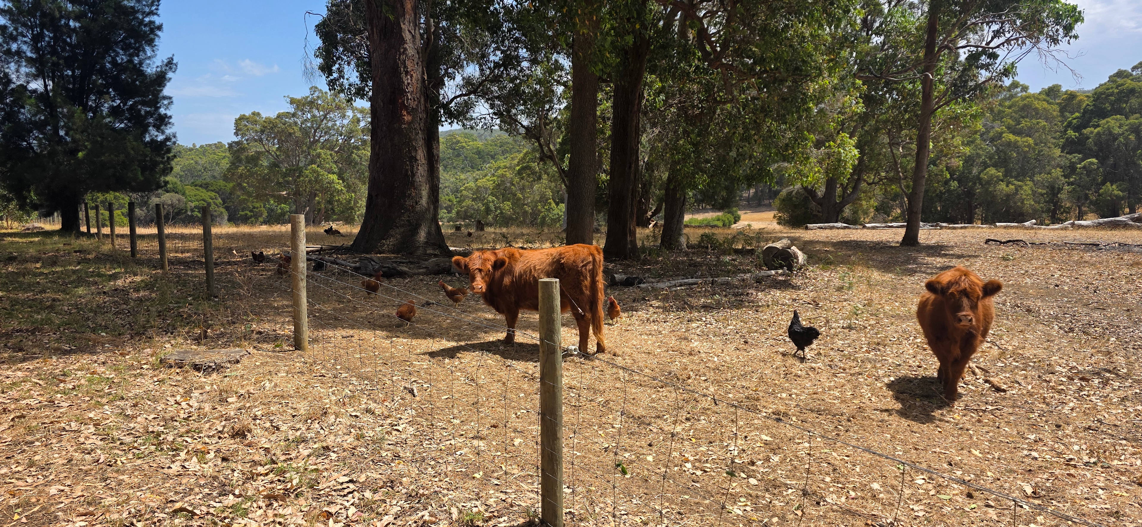 Overbridge Farm