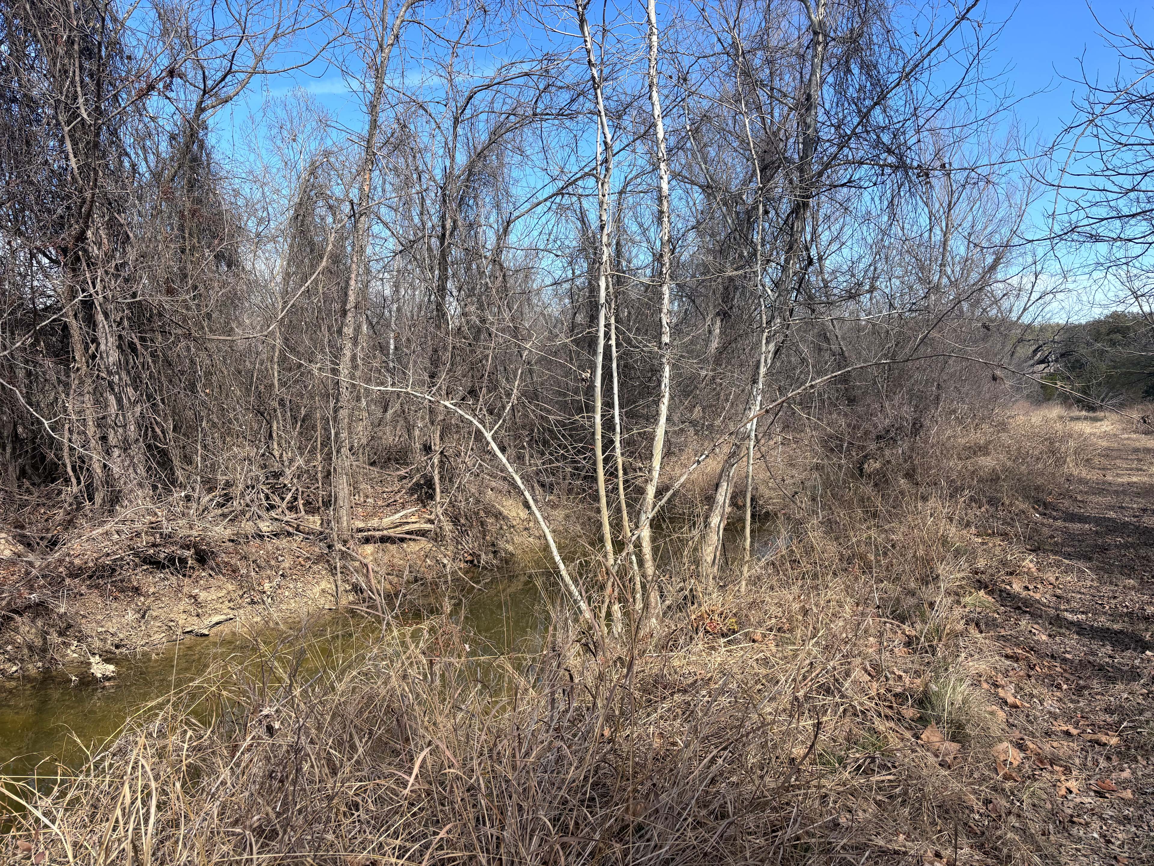 Secluded Hideaway in the Hills