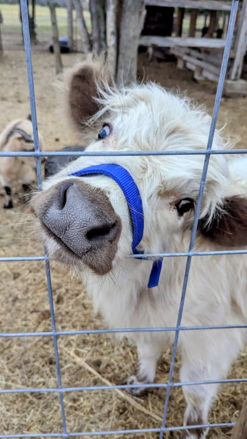 Wandering Trail Farms