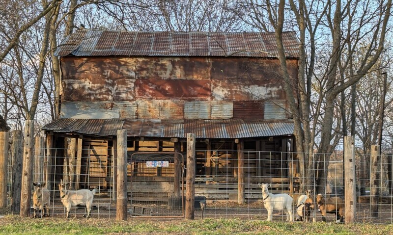 Wandering Trail Farms