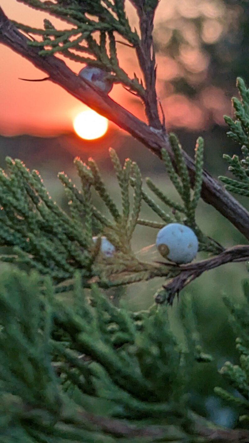 Wandering Trail Farms