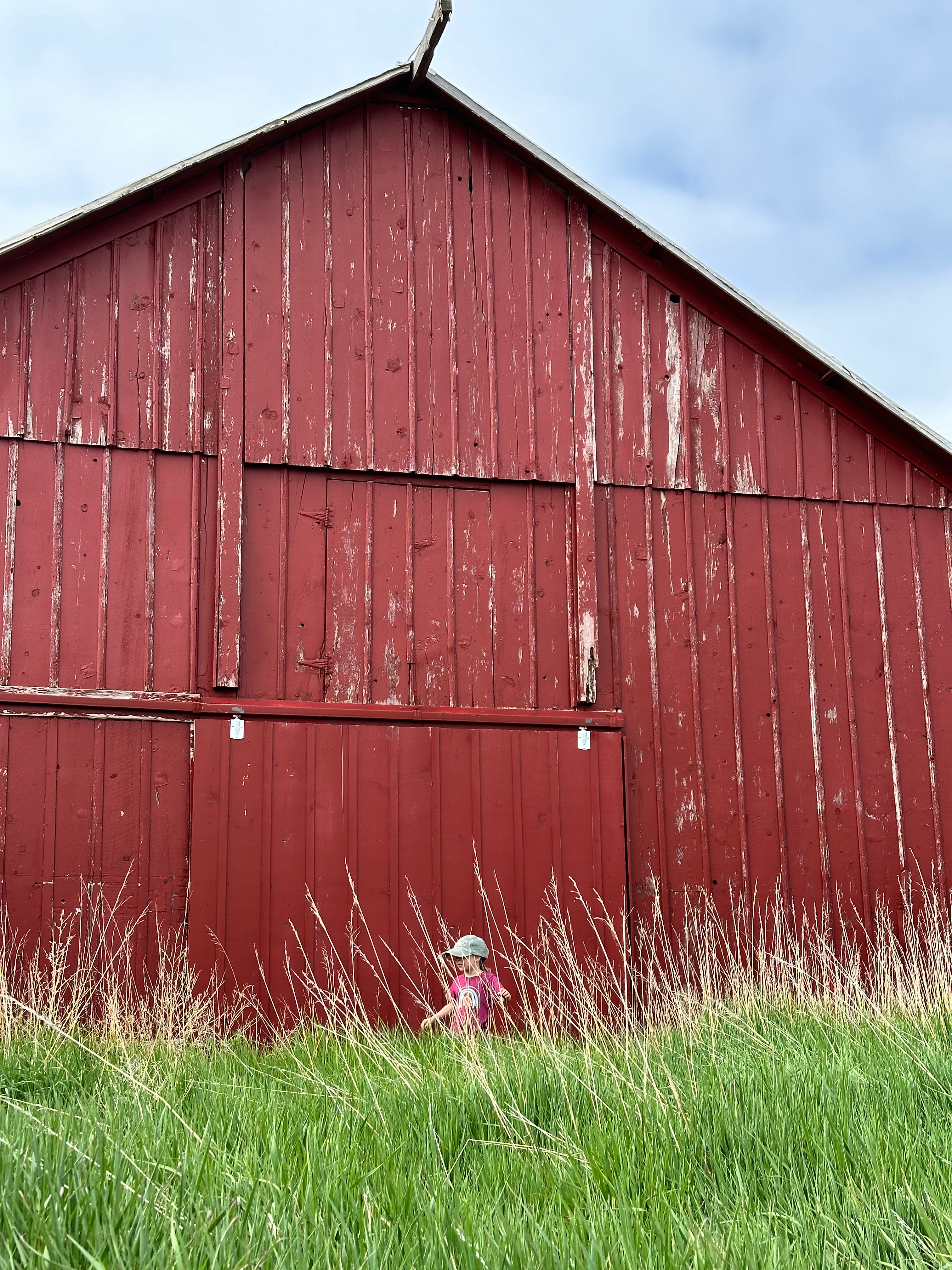 Harmon Farms—The Good Life