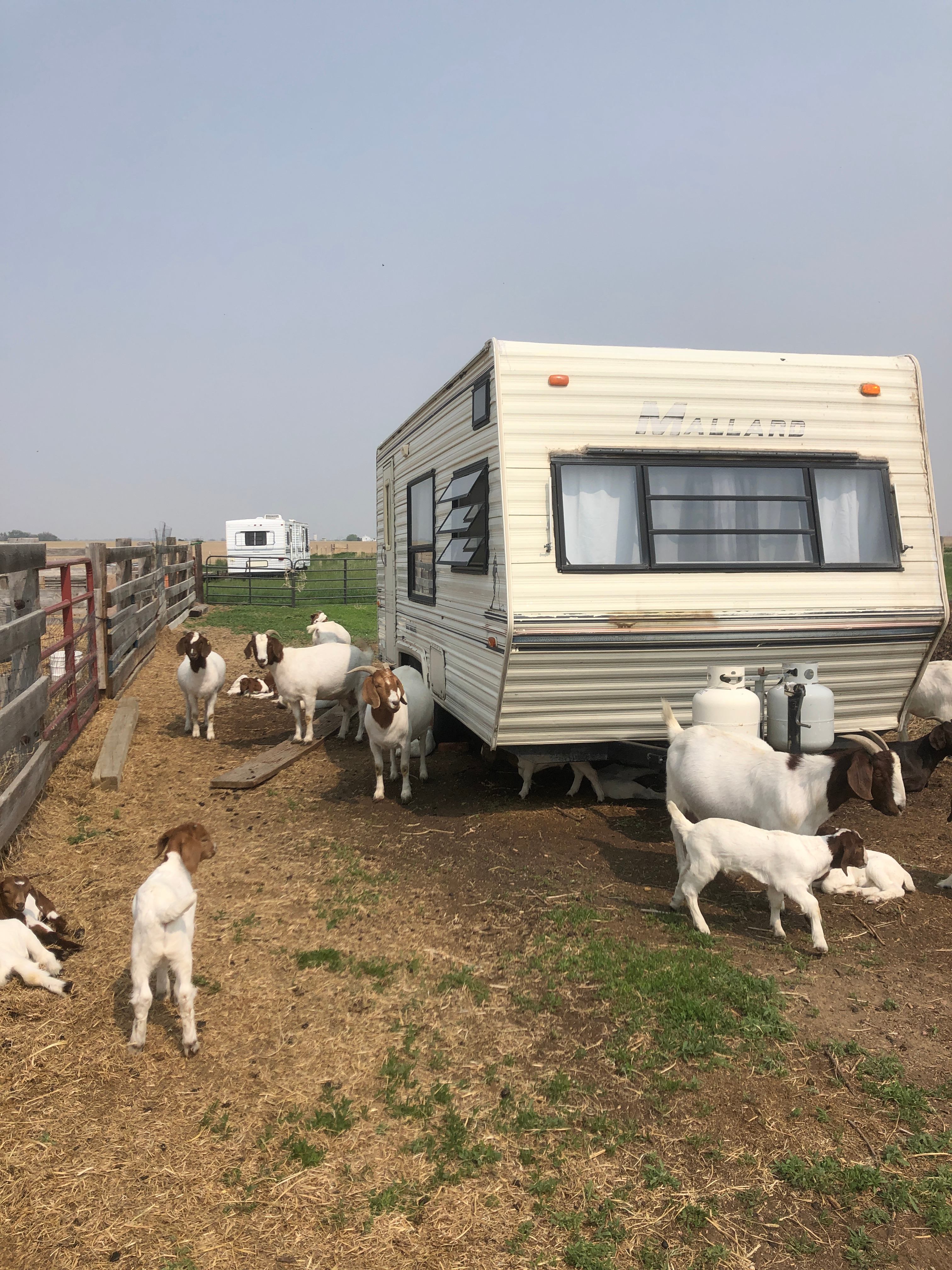 Harmon Farms—The Good Life