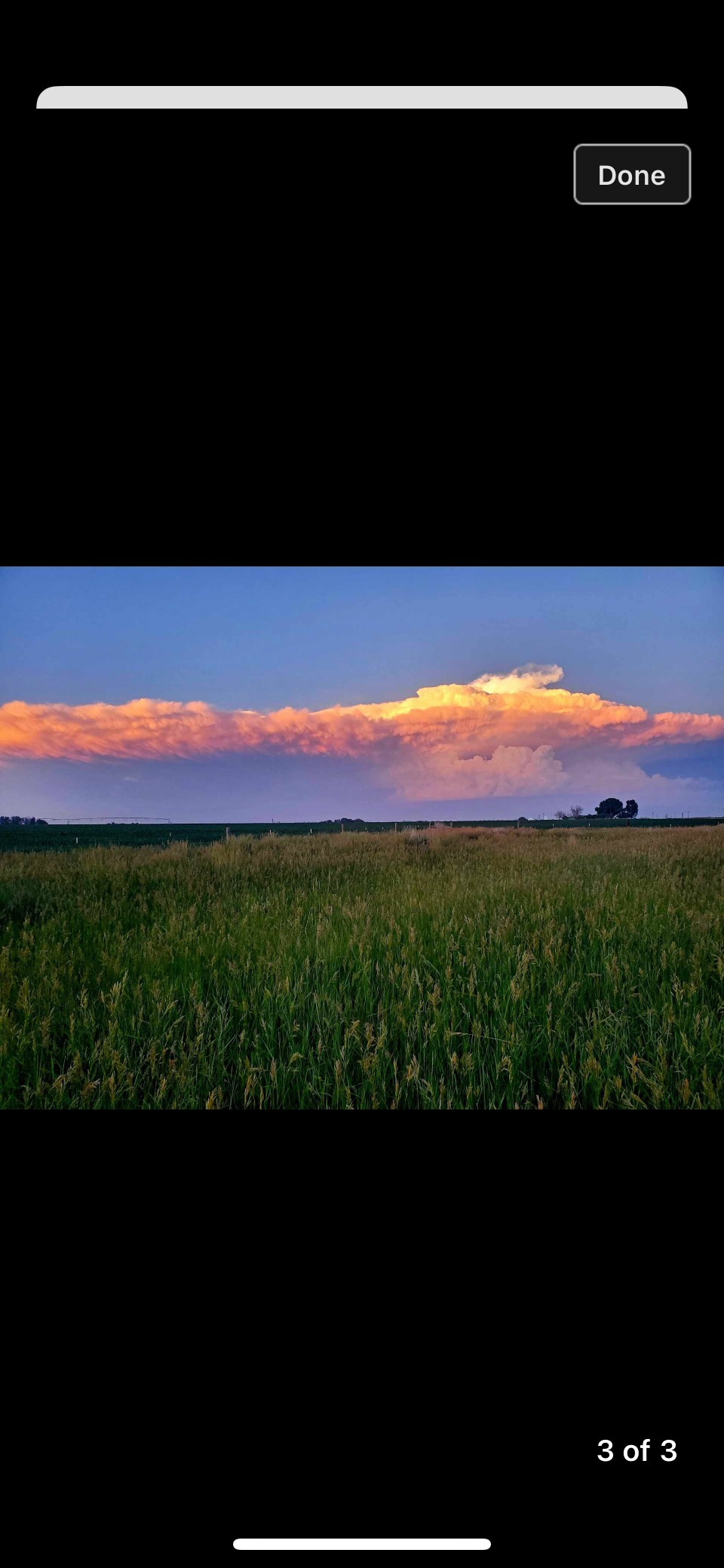 Harmon Farms—The Good Life