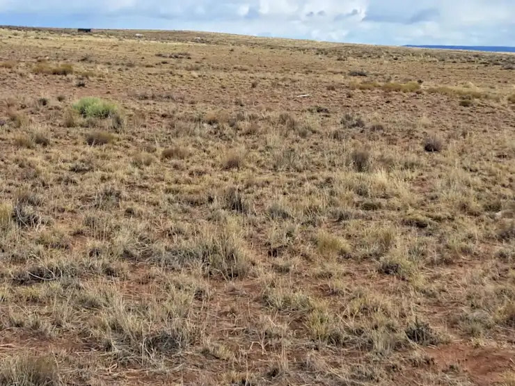 Painted Desert Hideaway