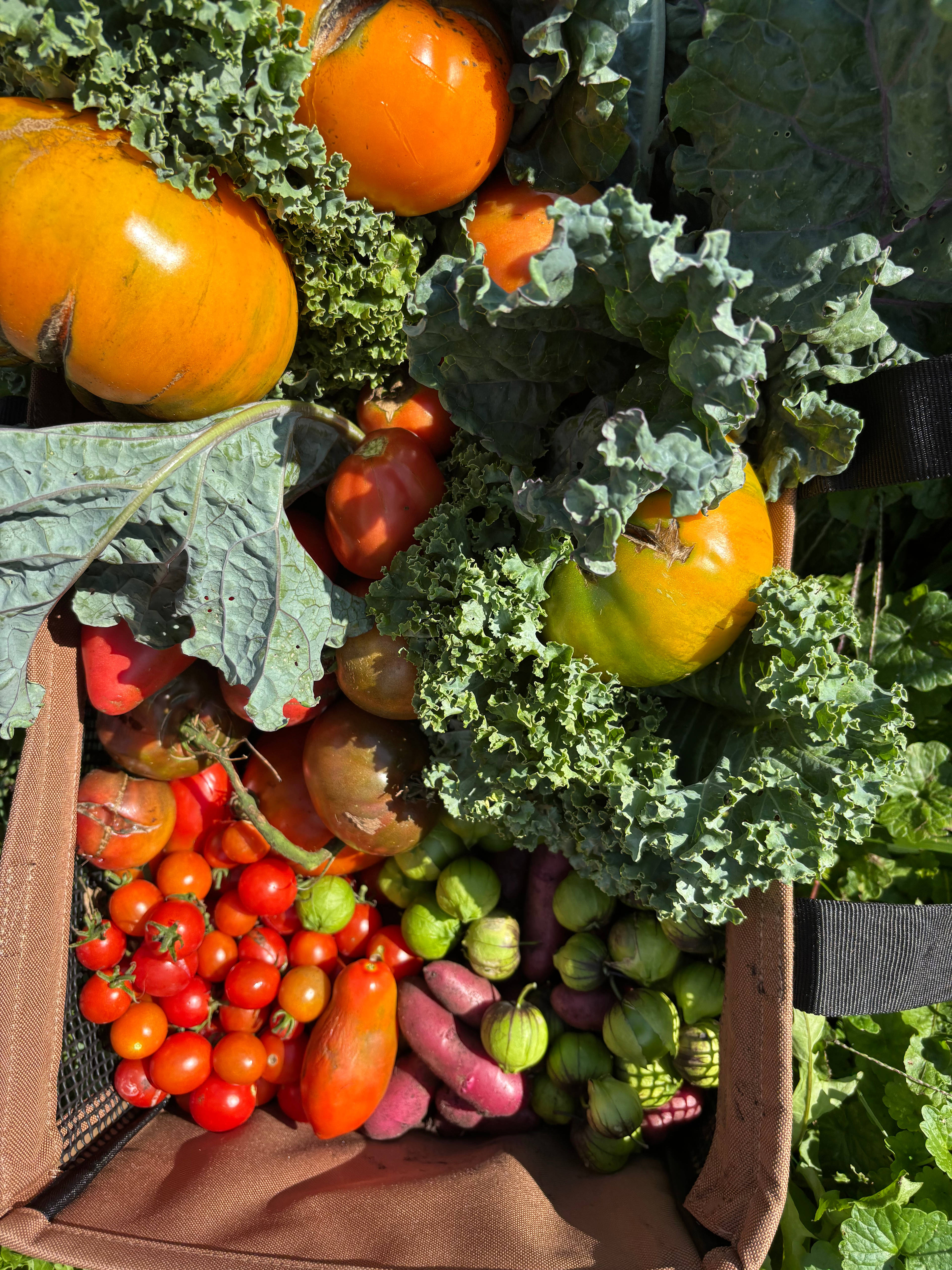 We grow a variety of vegetables, fruits, and herbs on our small farm.