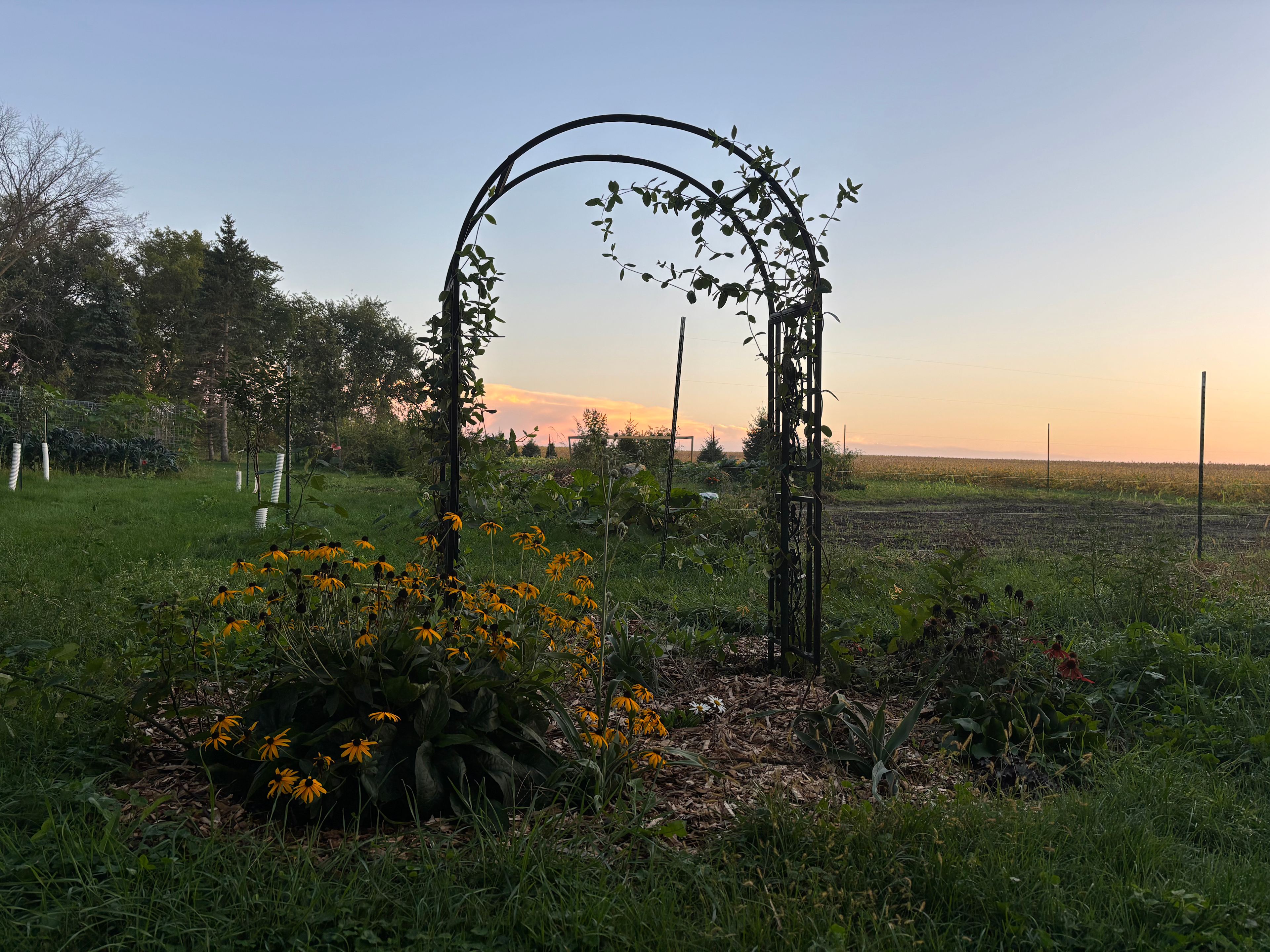 Welcome to the garden! You'll find vegetables, fruit trees, perennials, and berry bushes.