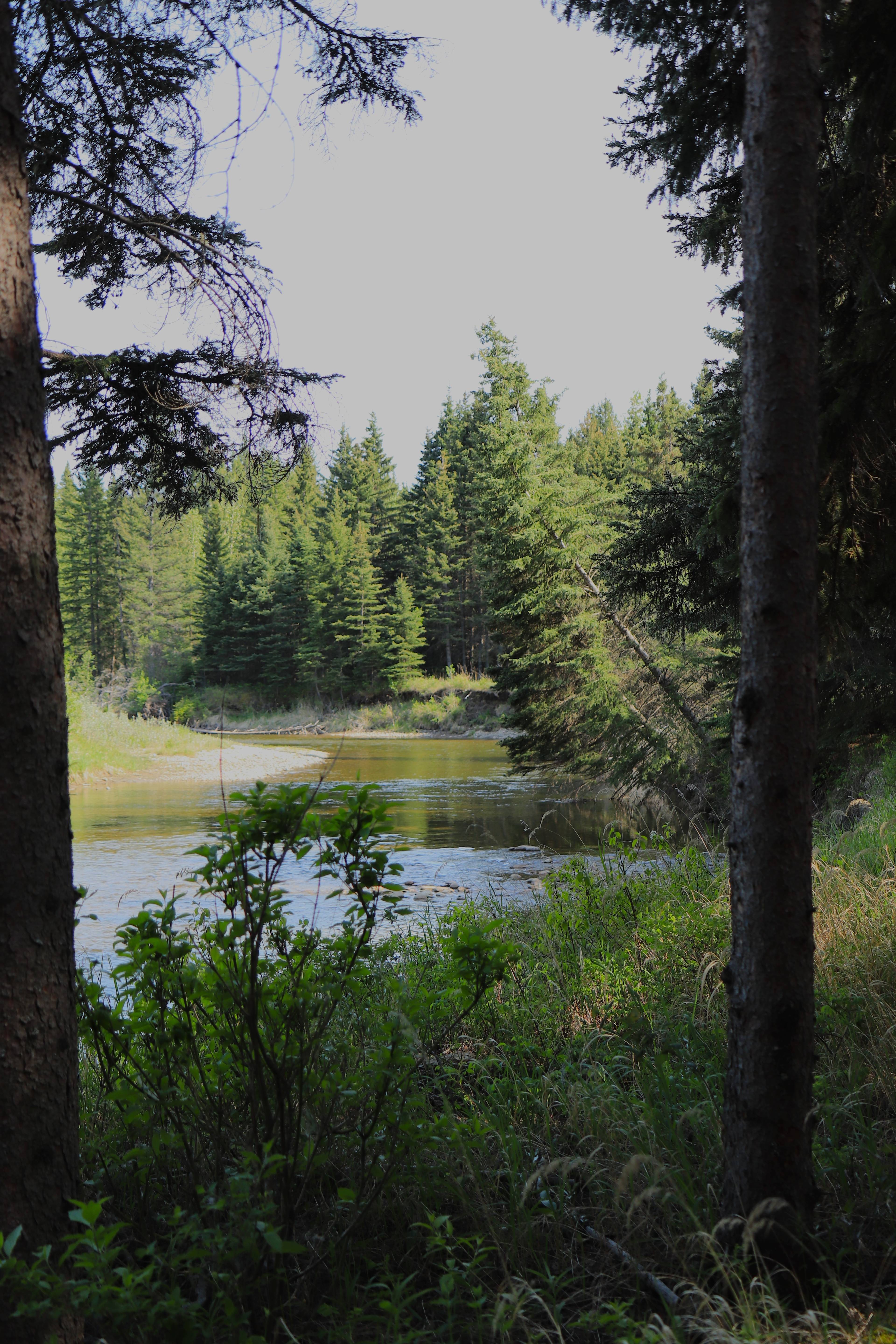 Rocky Wolf Ranch Ltd.