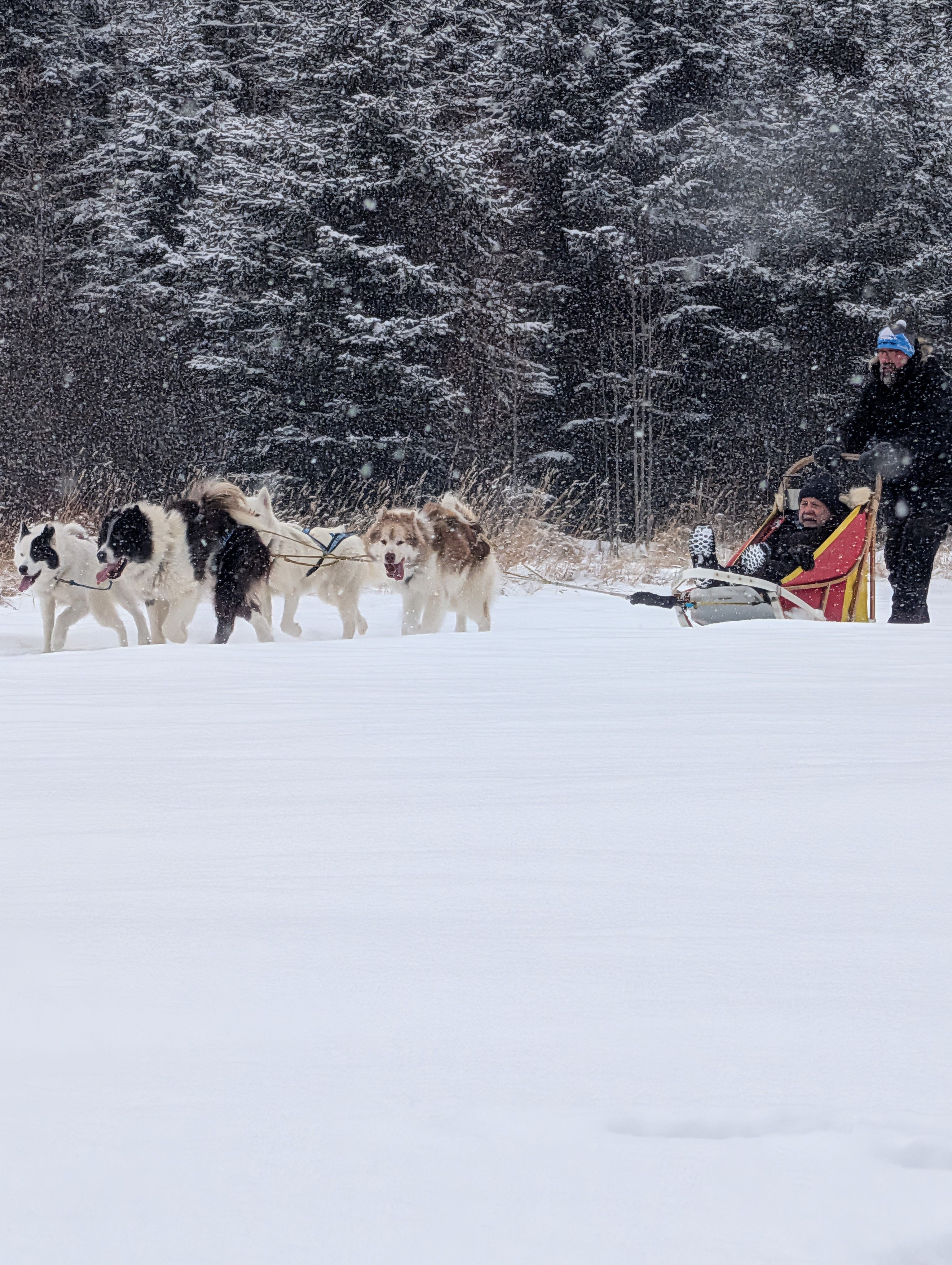 Rocky Wolf Ranch Ltd.