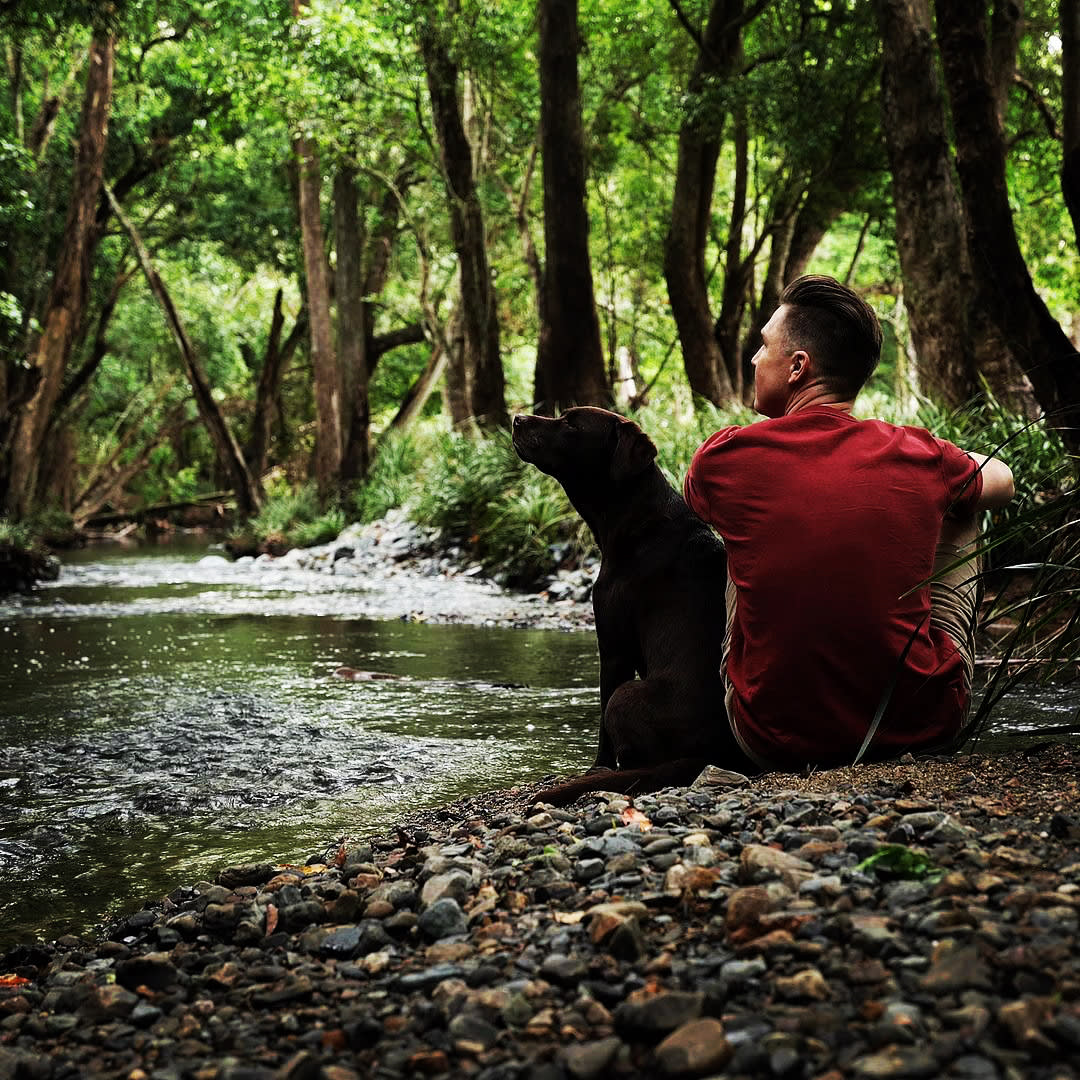 A Place To Call Home