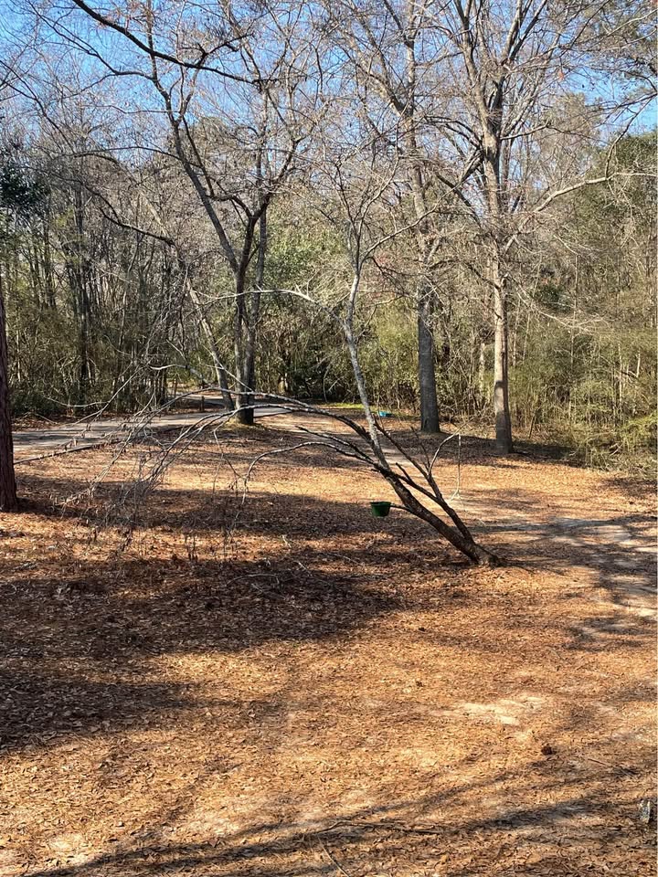 Wooded Homestead Retreat