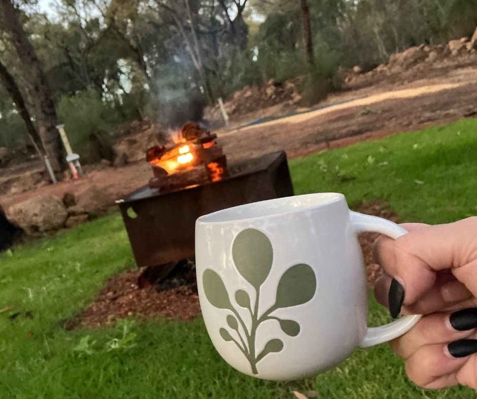 Evergreen Bush Stayz