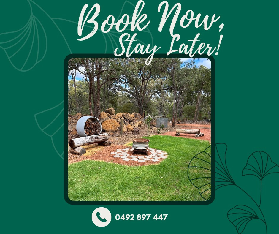 Evergreen Bush Stayz