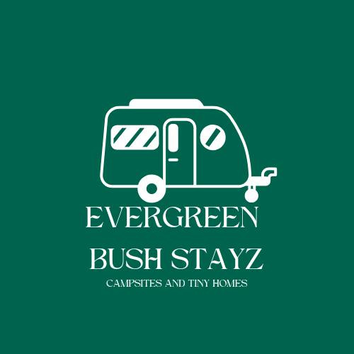 Evergreen Bush Stayz