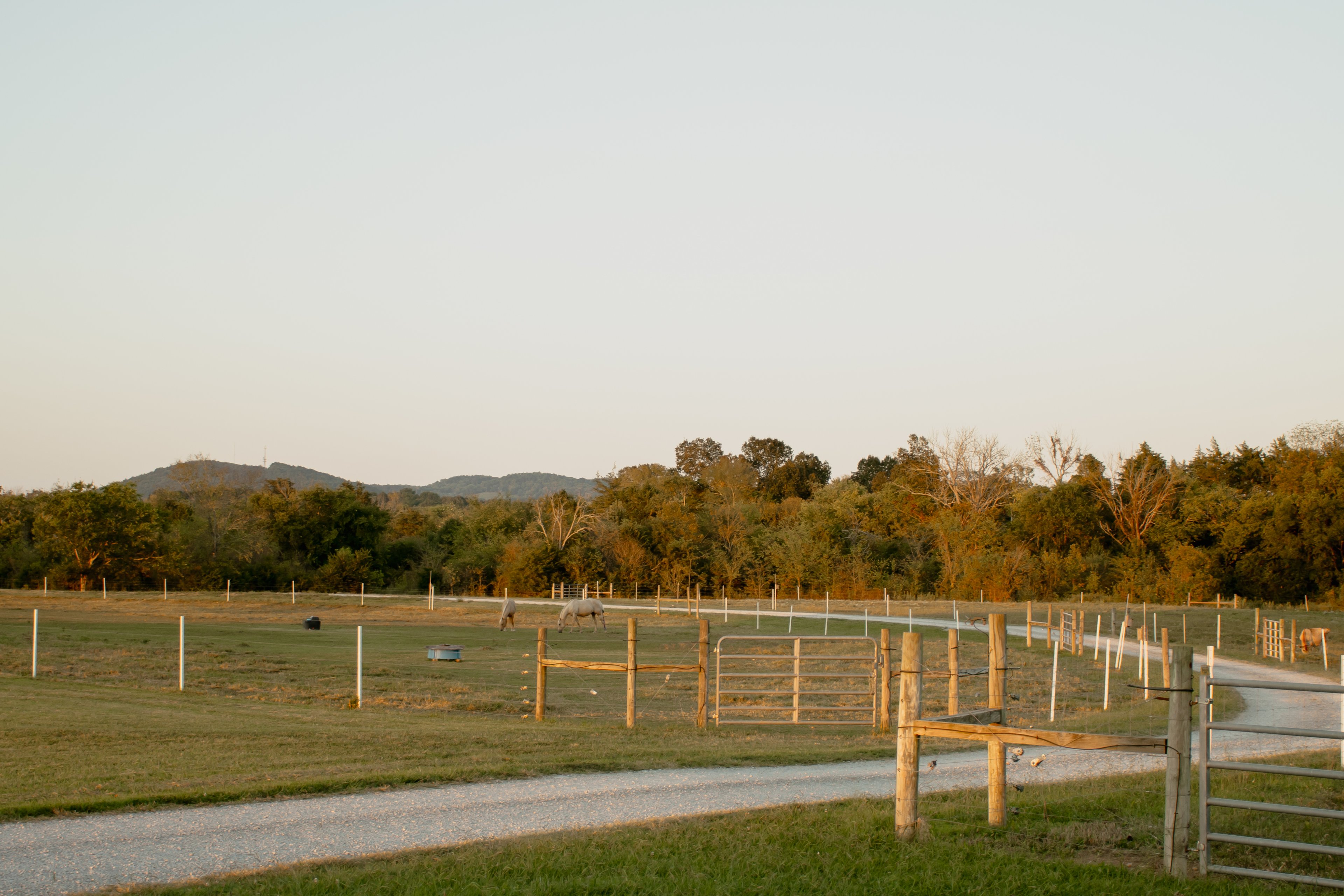 Crossing Creeks Farm