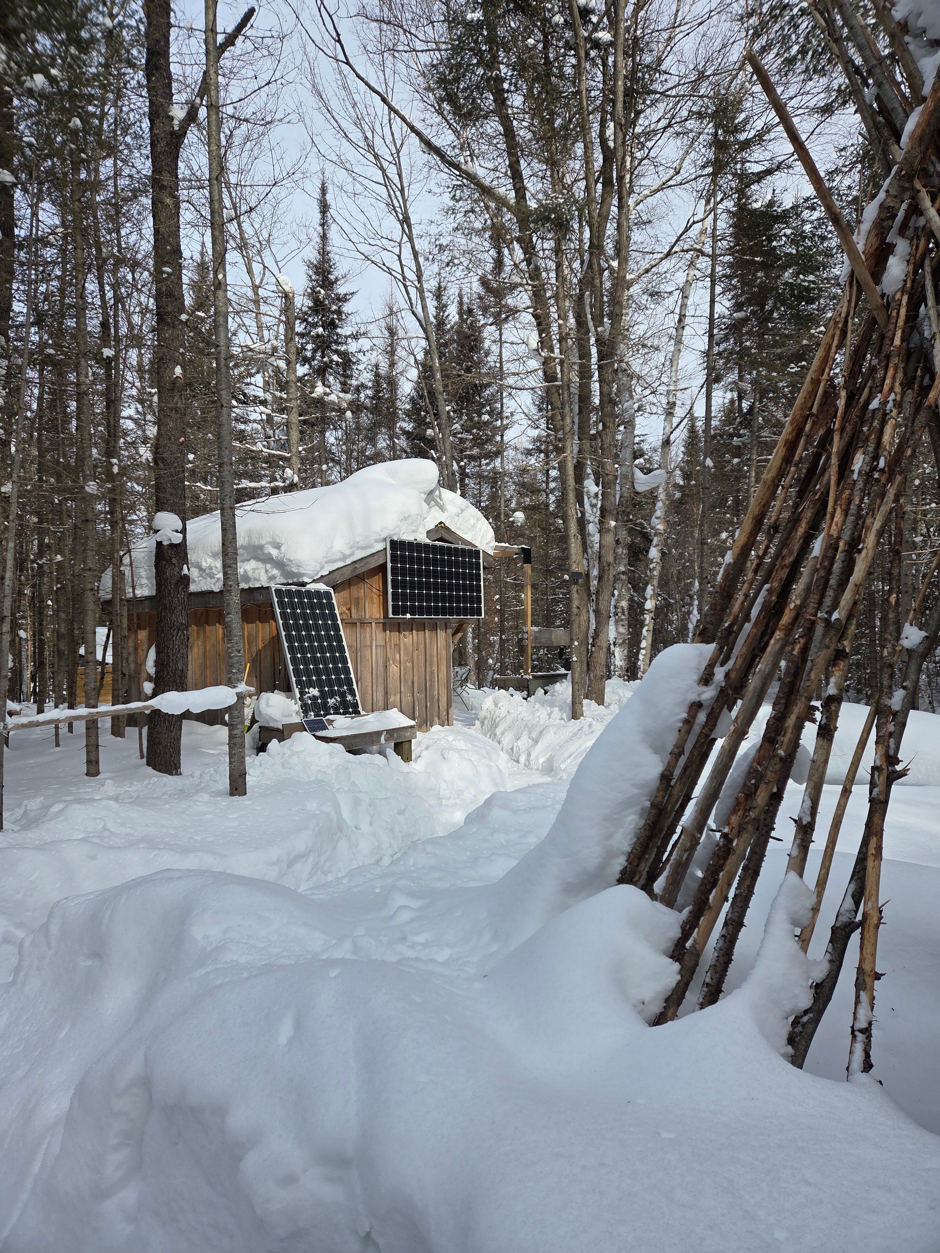 Off -Grid Forest Retreat