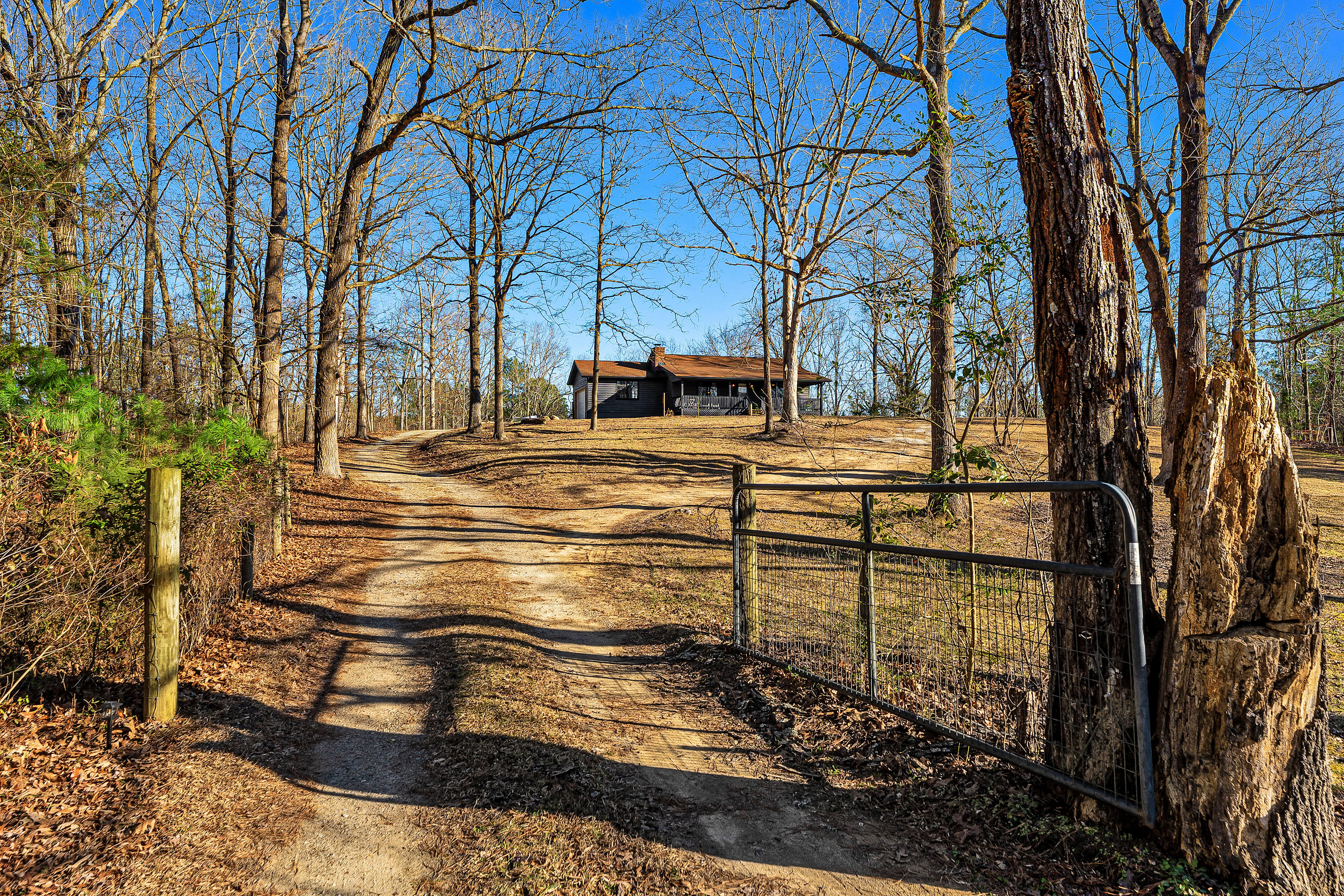 The Bark Bungalow, Georgia