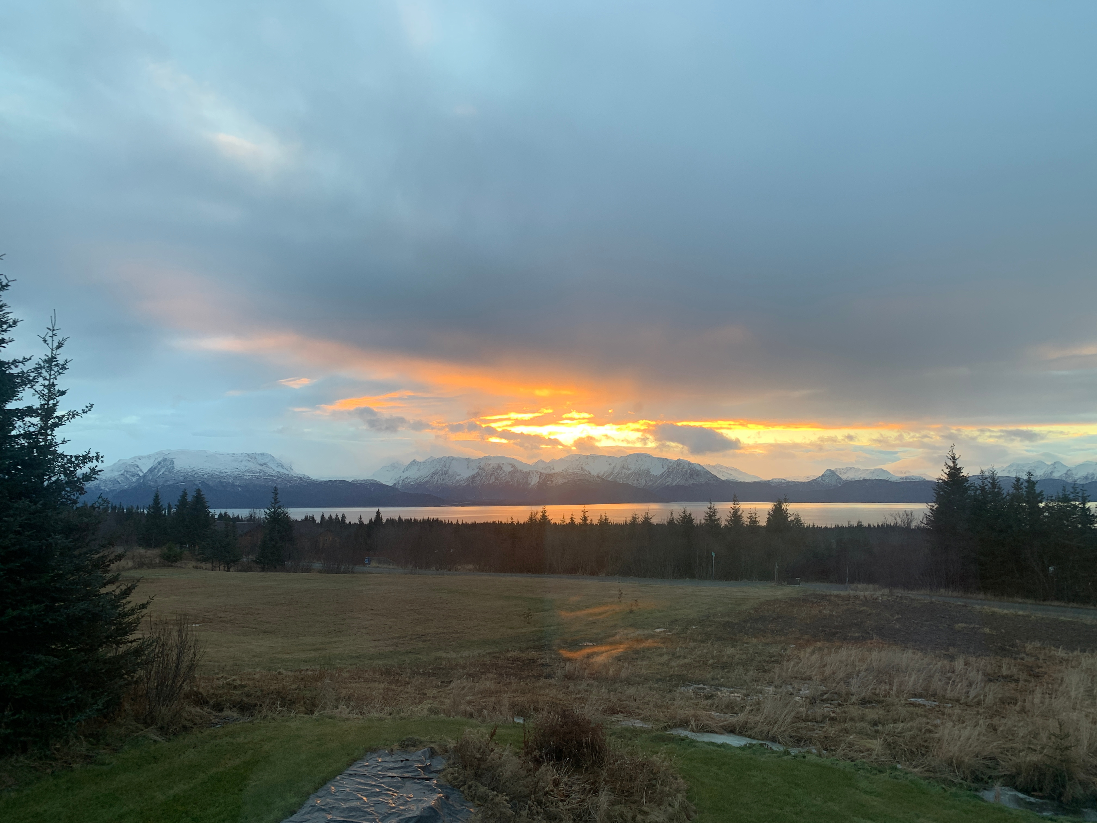 Kachemak Bay View
