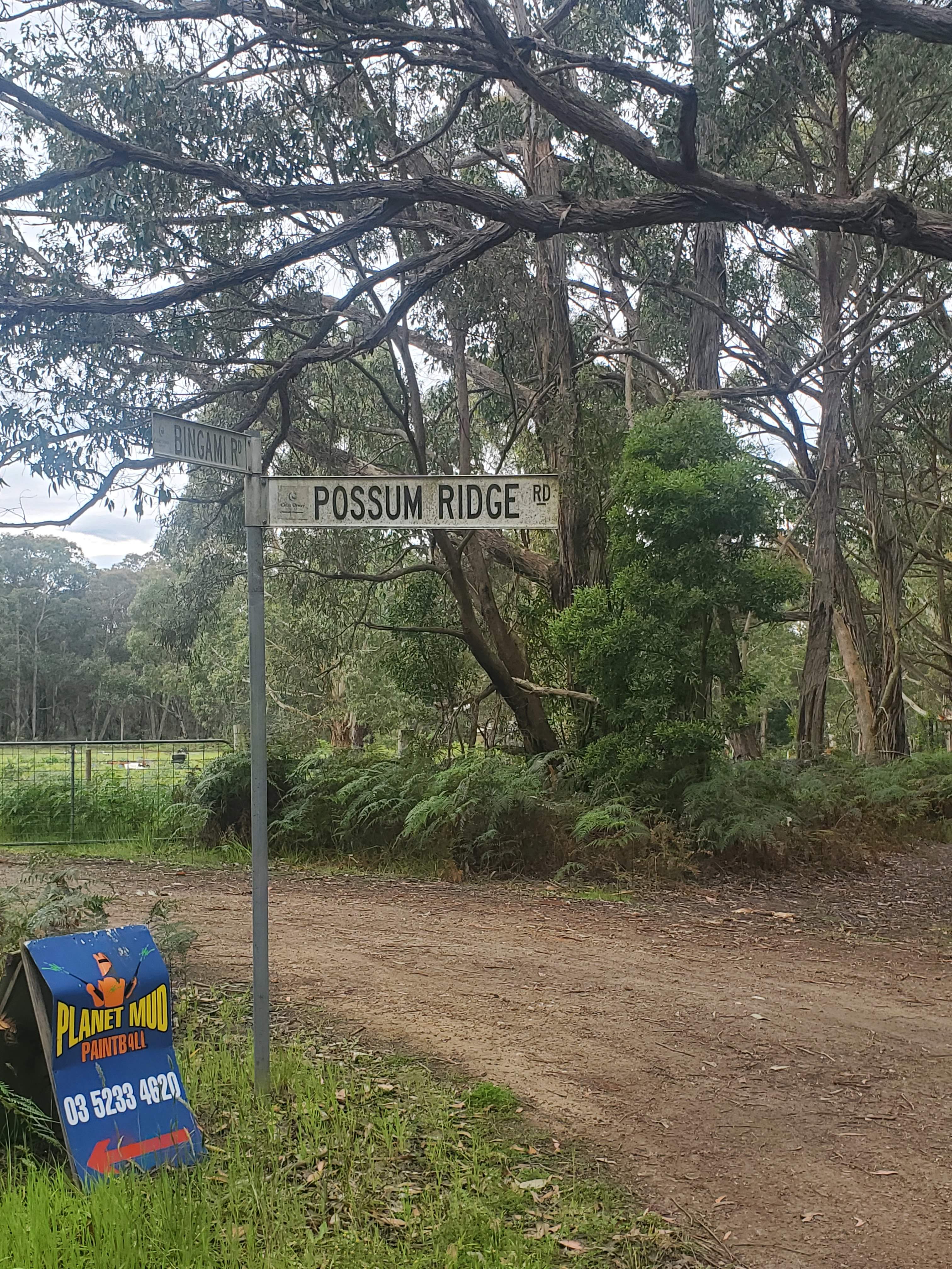 Possum Ridge Hip Camp