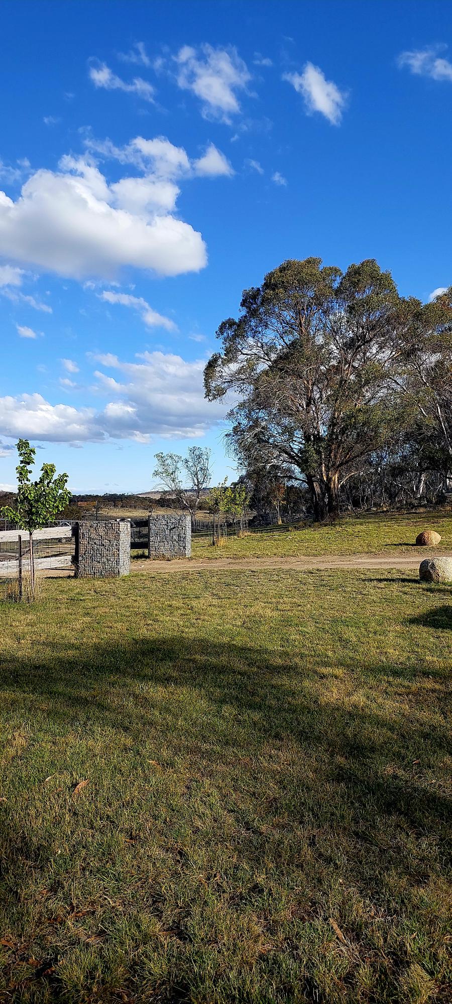 Ironpot Hill Farmstay