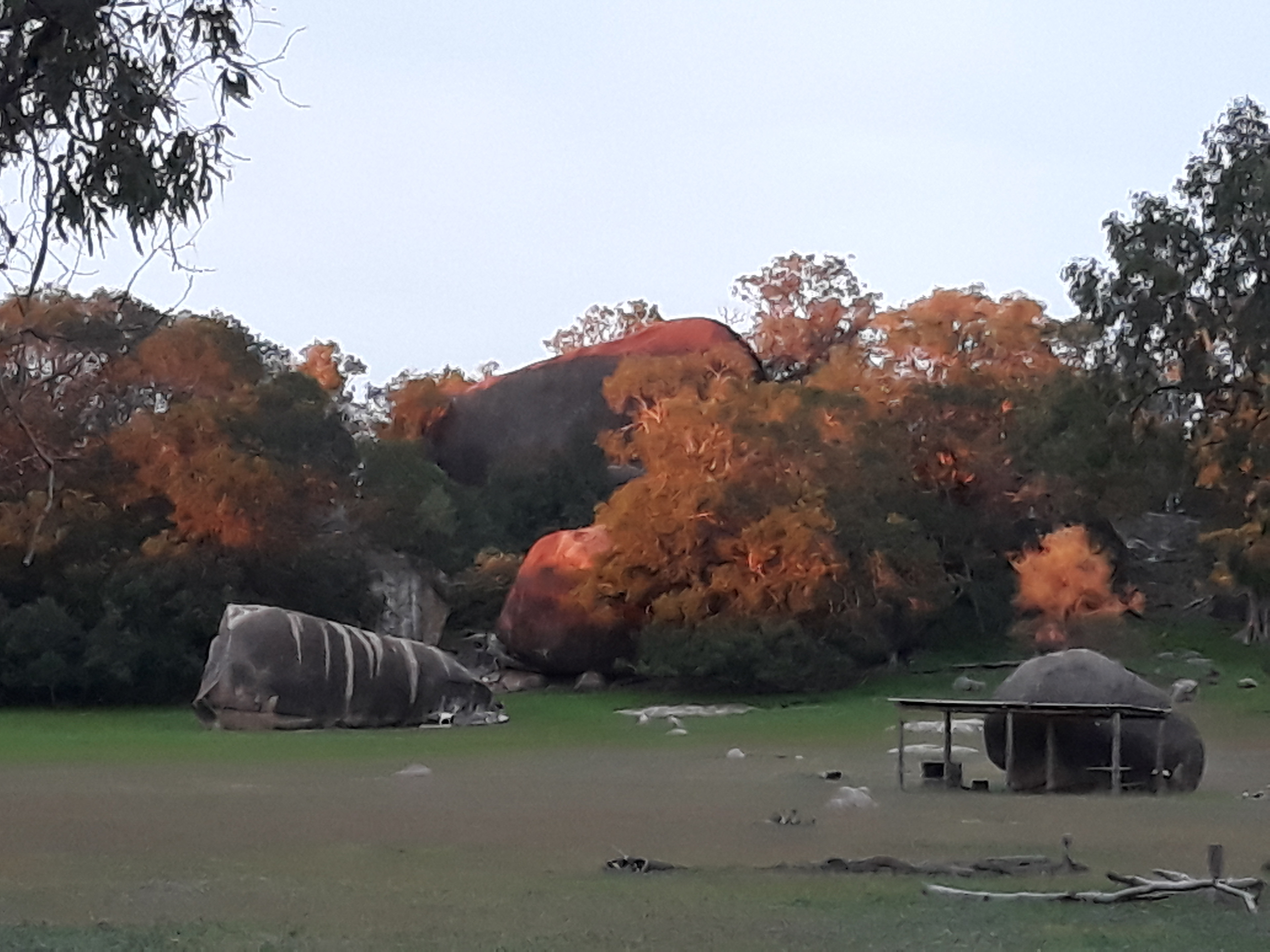 Goat Rock Camping Ground