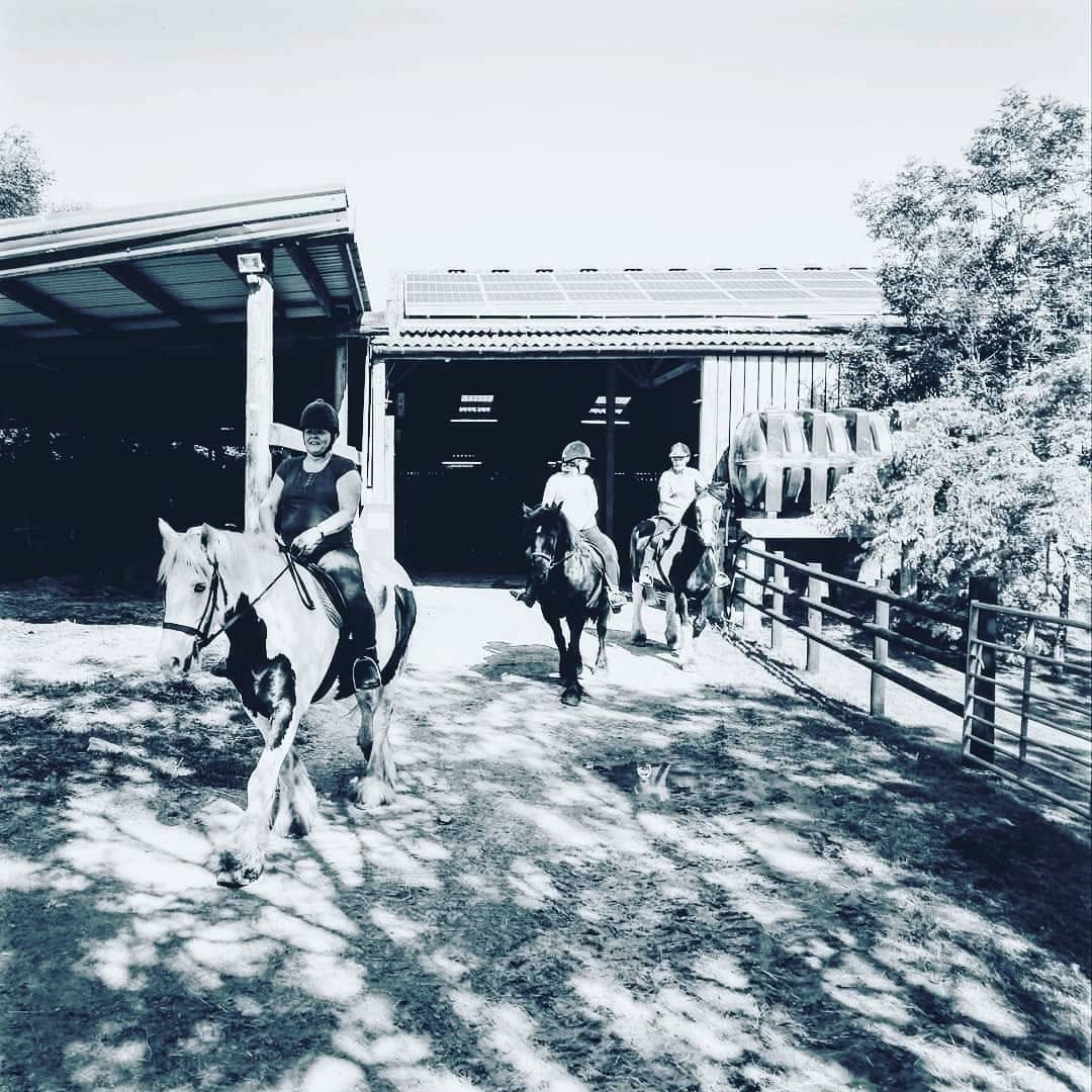 Caffyns Farm Camping