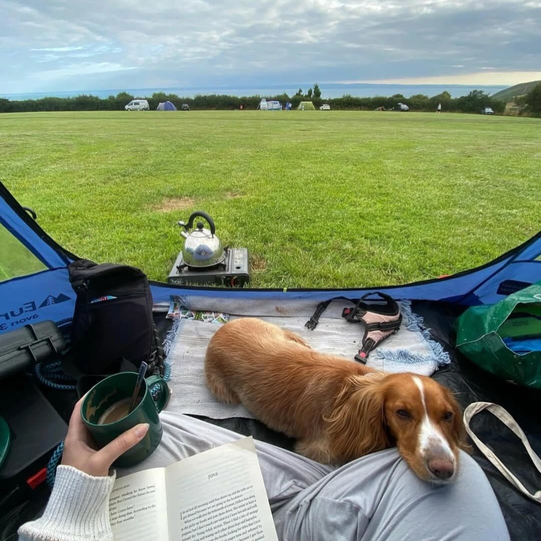 Caffyns Farm Camping