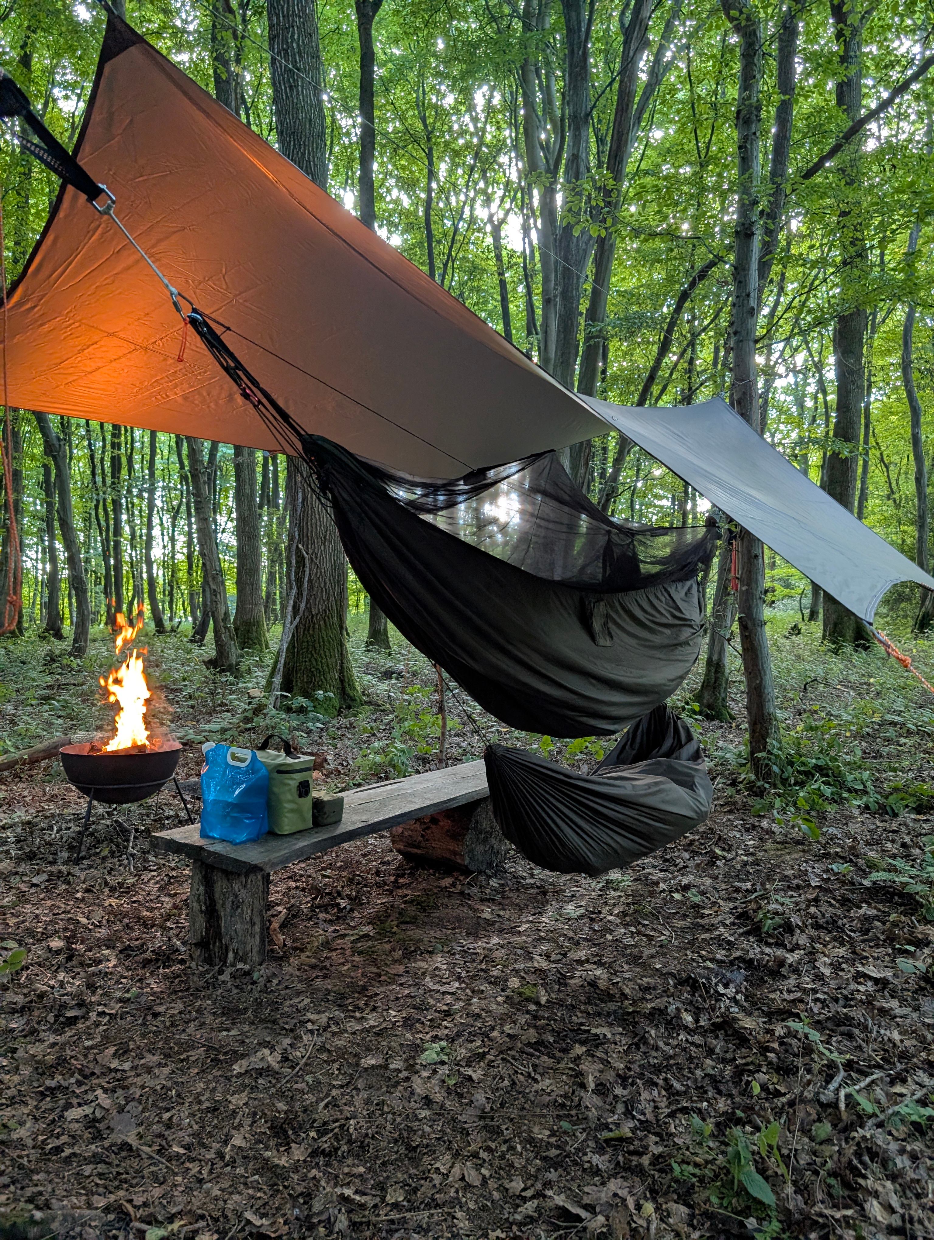 Dernwood Farm Camping & Glamping