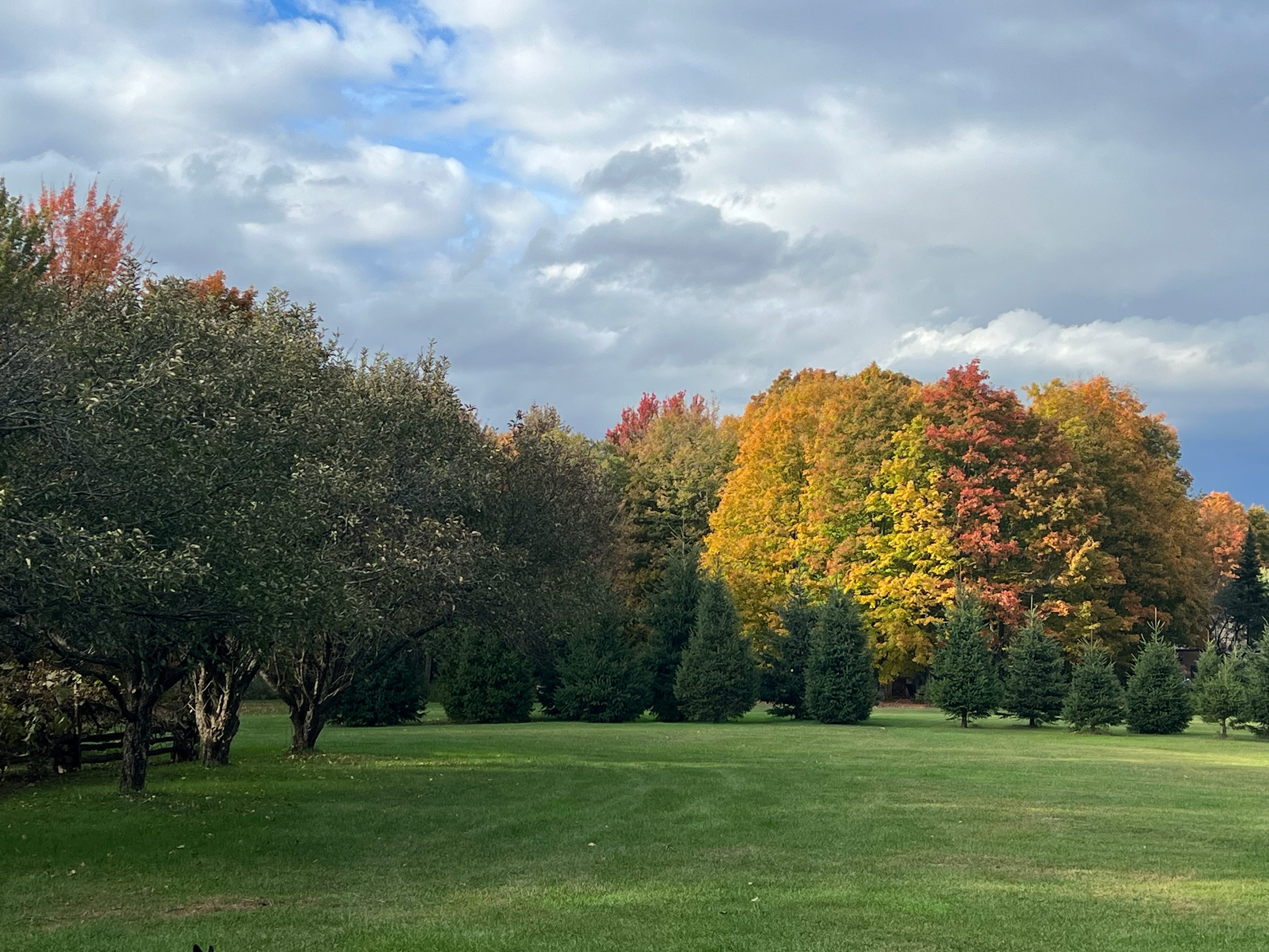Capsule De Bonheur/ Piece of Heaven