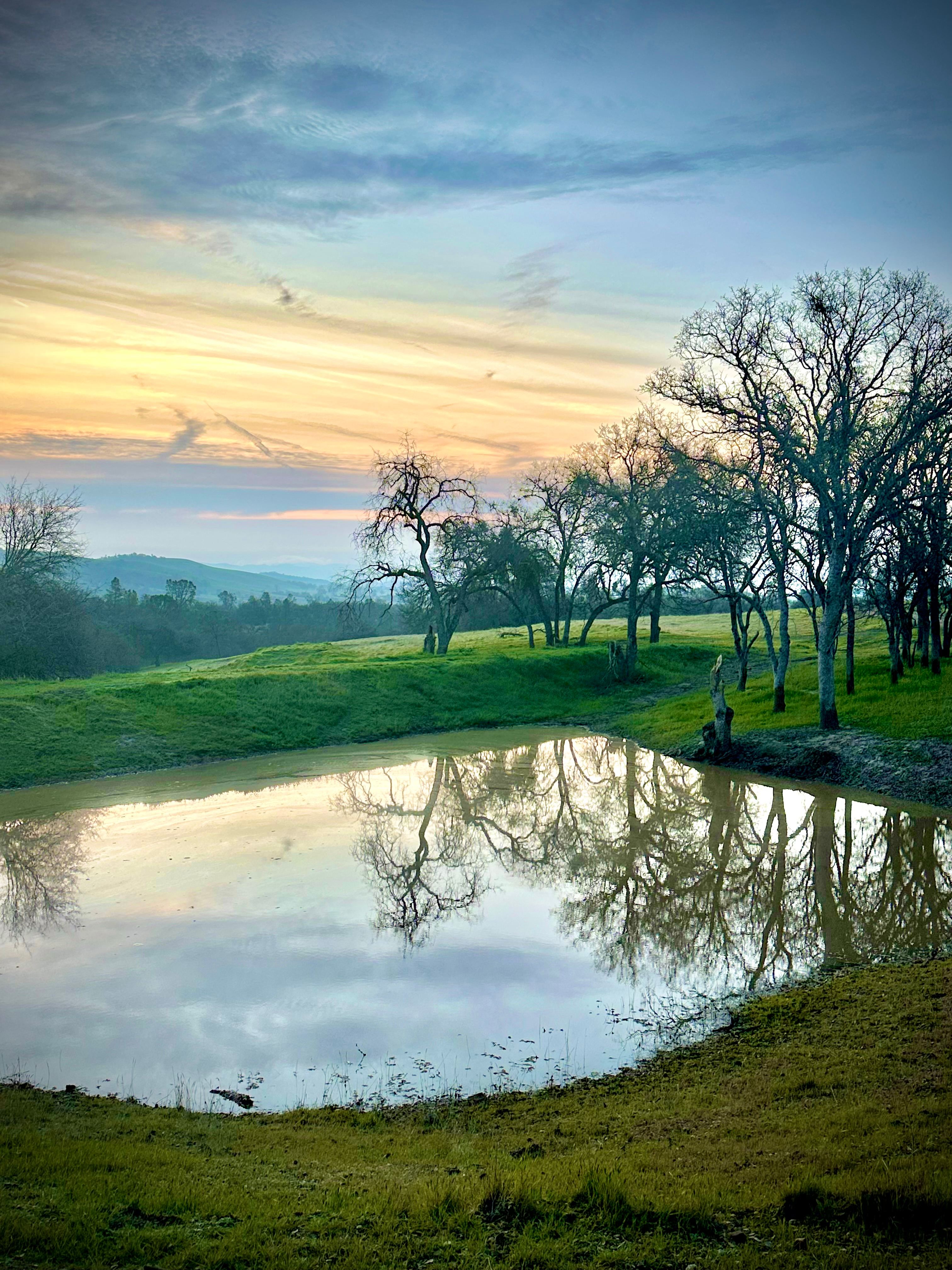 Glamor Camp at Varian Kennels