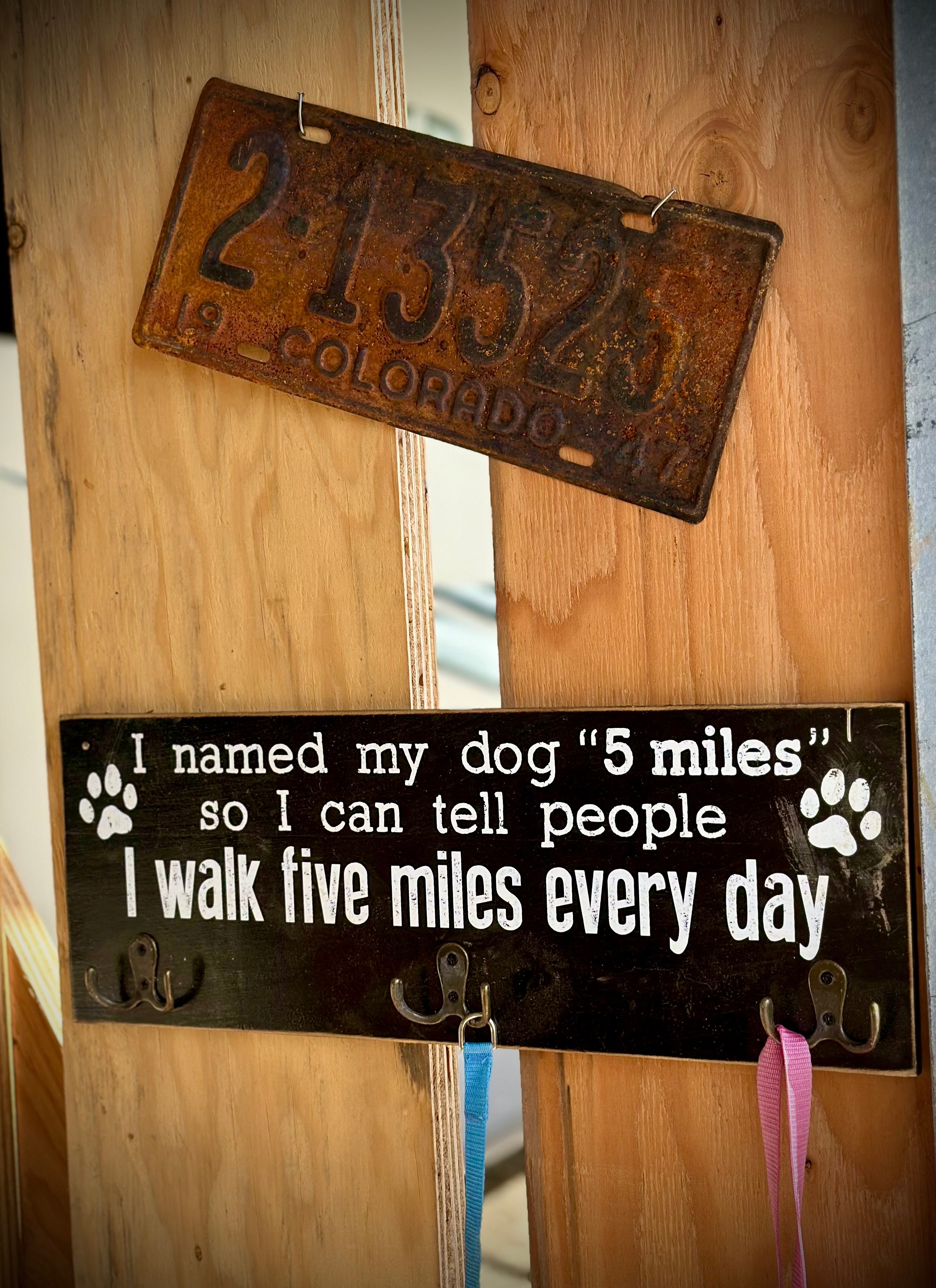 Glamor Camp at Varian Kennels