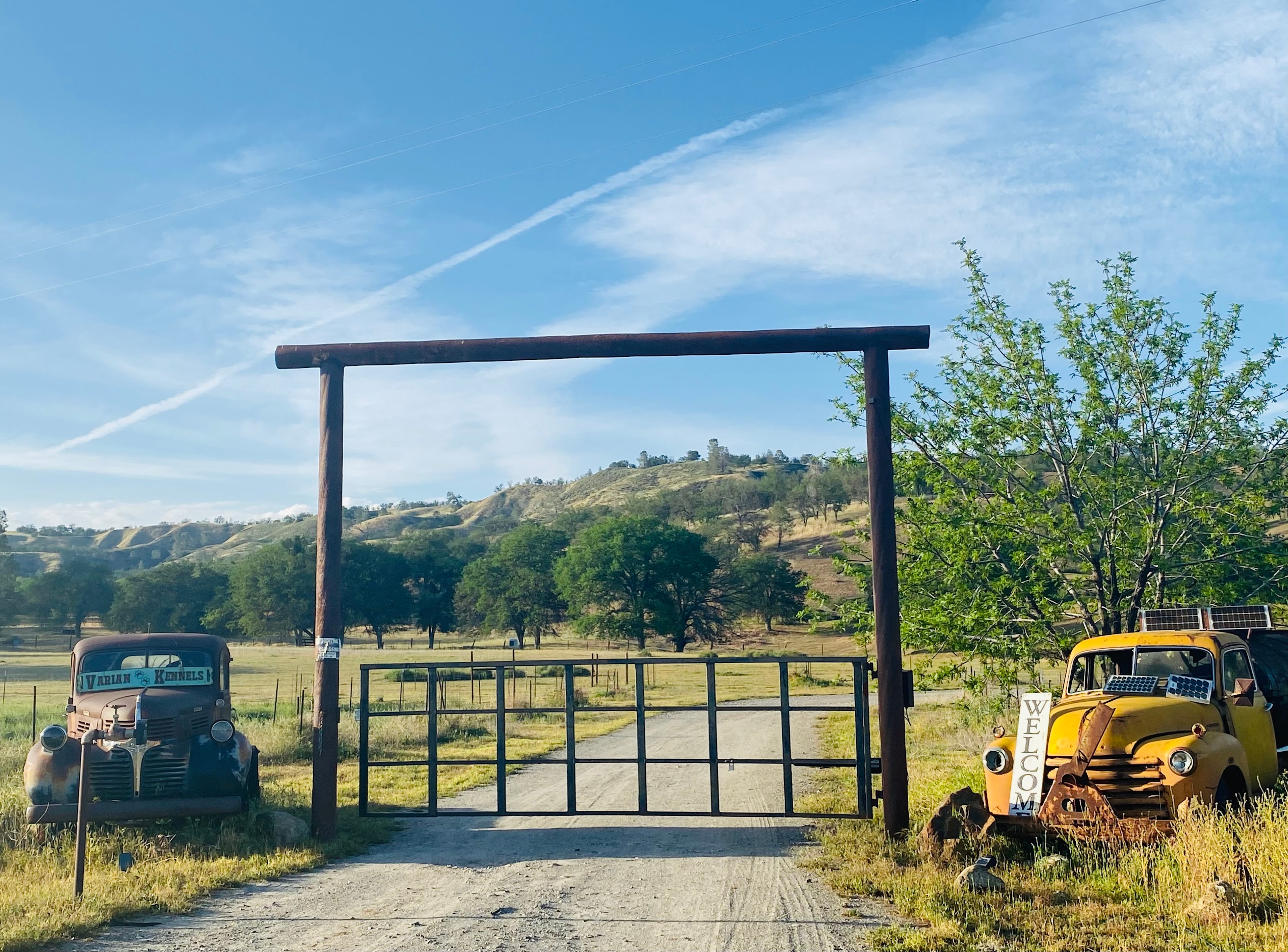 Glamor Camp at Varian Kennels