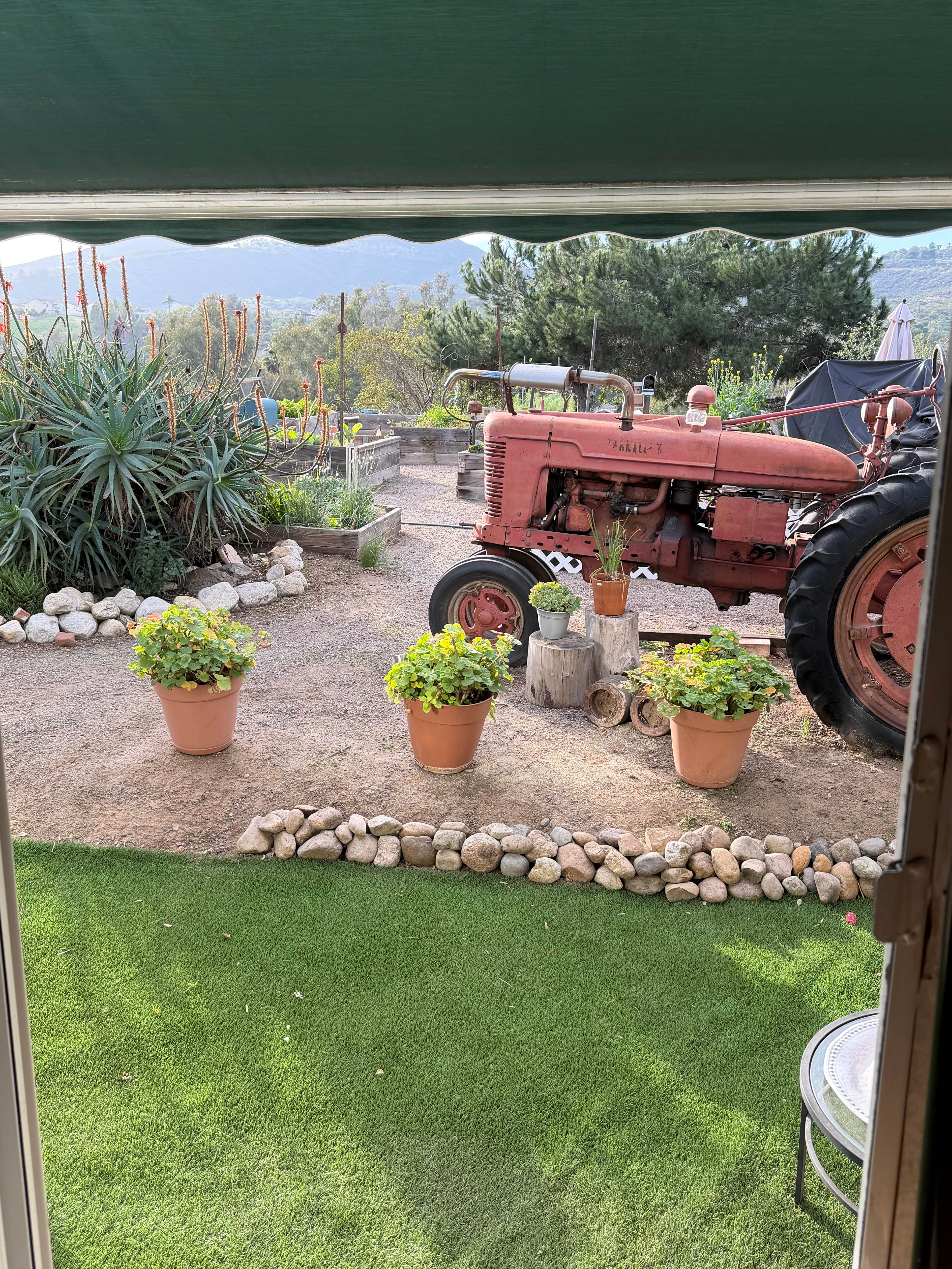 Eden Valley Mini Farm