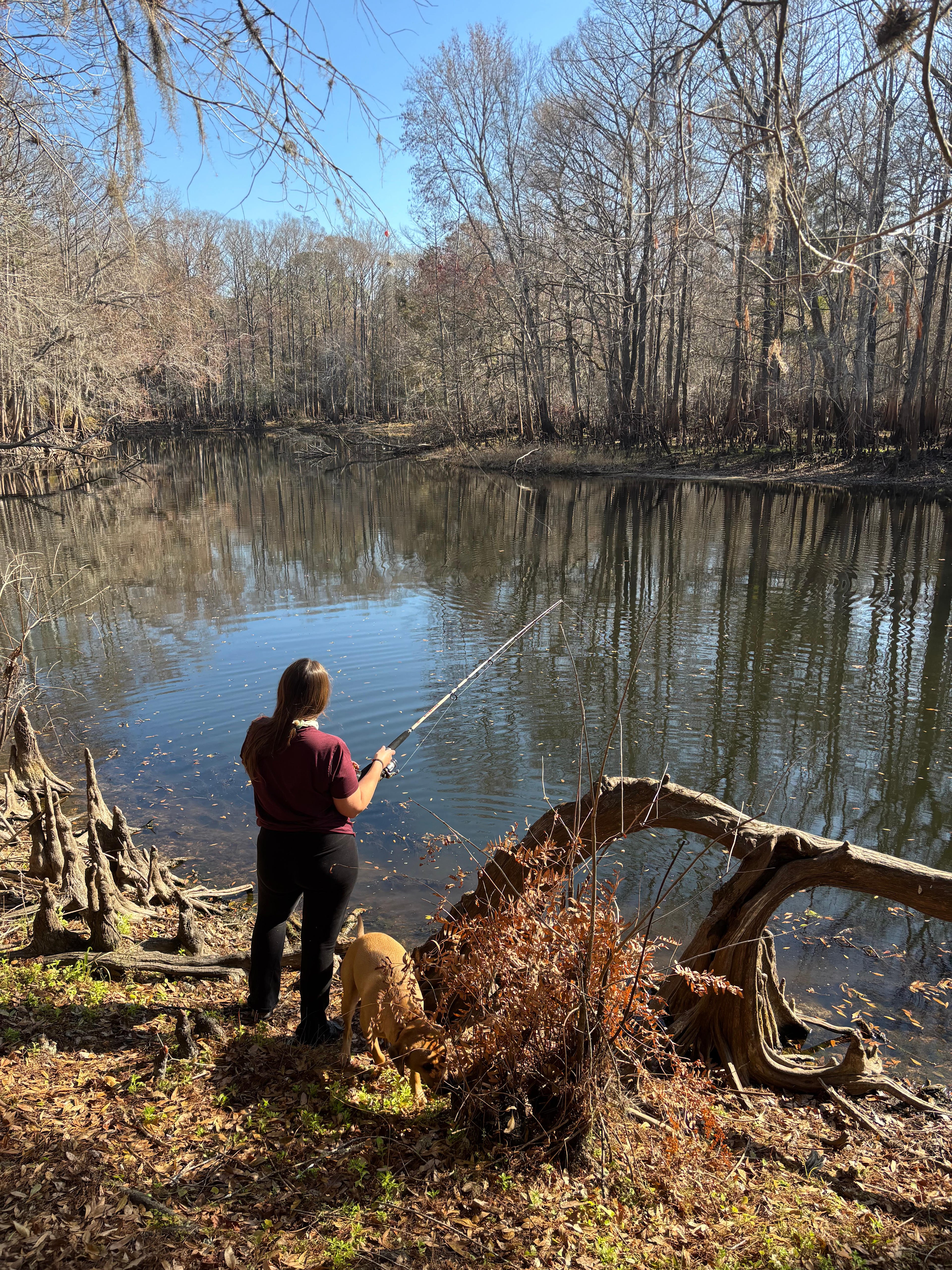 Primitive Island on Withlacoochee