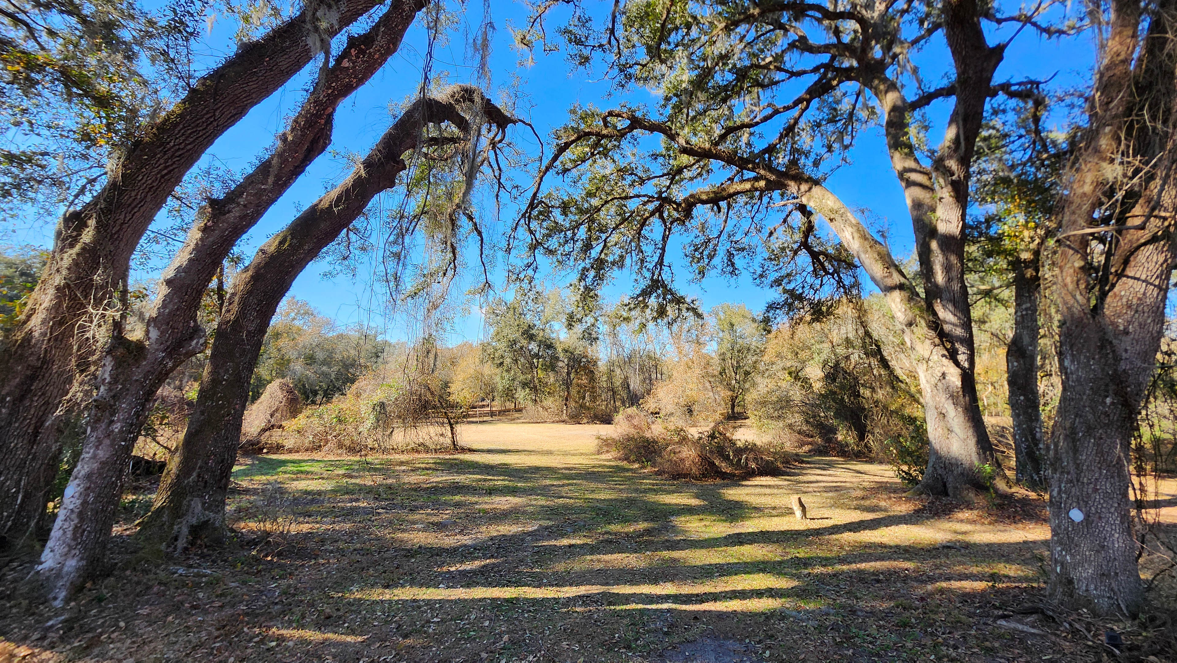 Oasis Under The Oaks