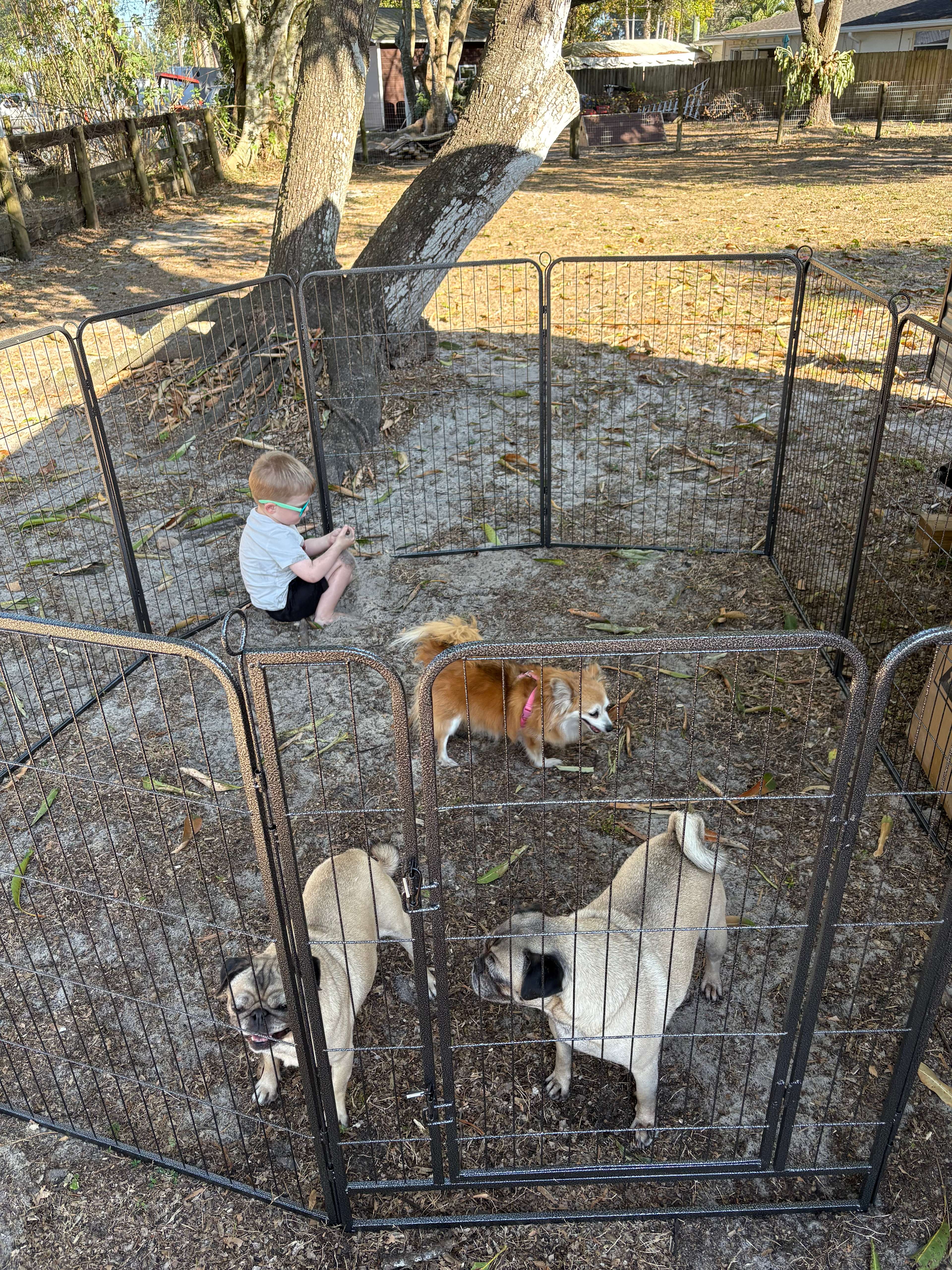 Plenty of space to set up dog gates 