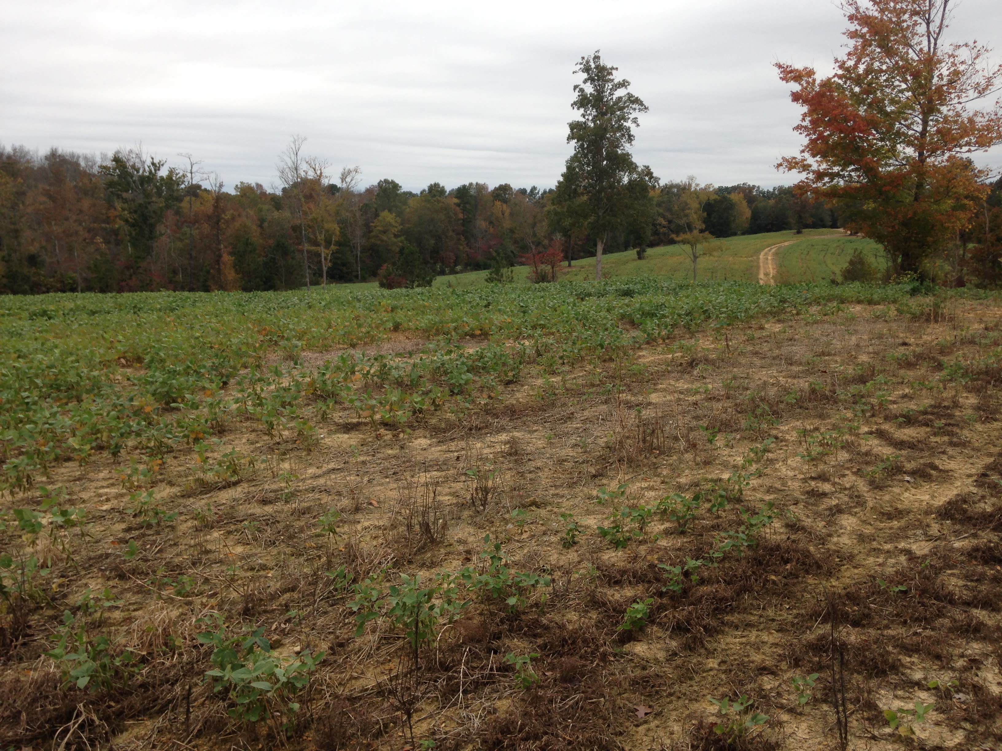 Total Isolation - South 40 Acre Lot