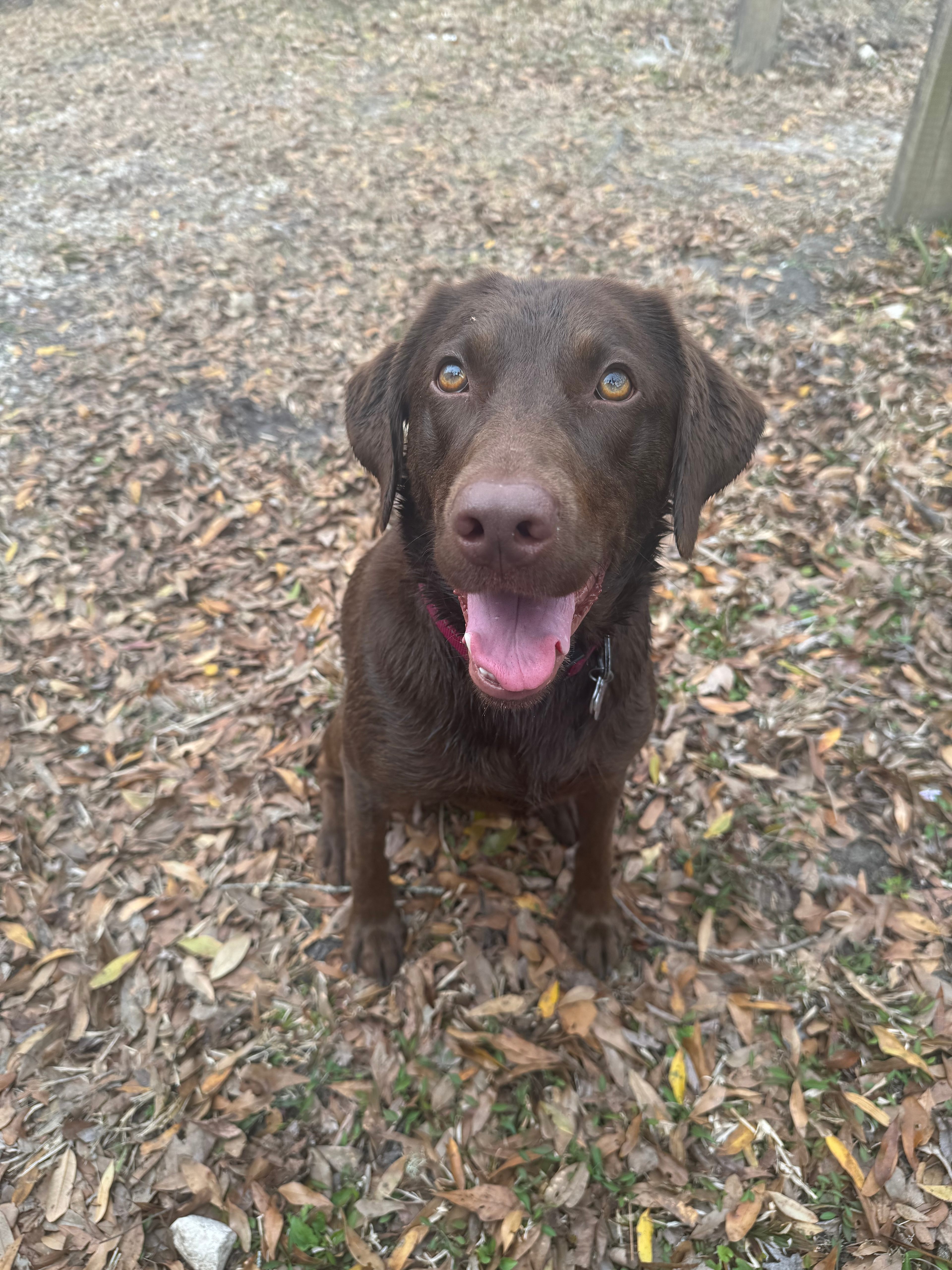 Friendly's River Retreat RV