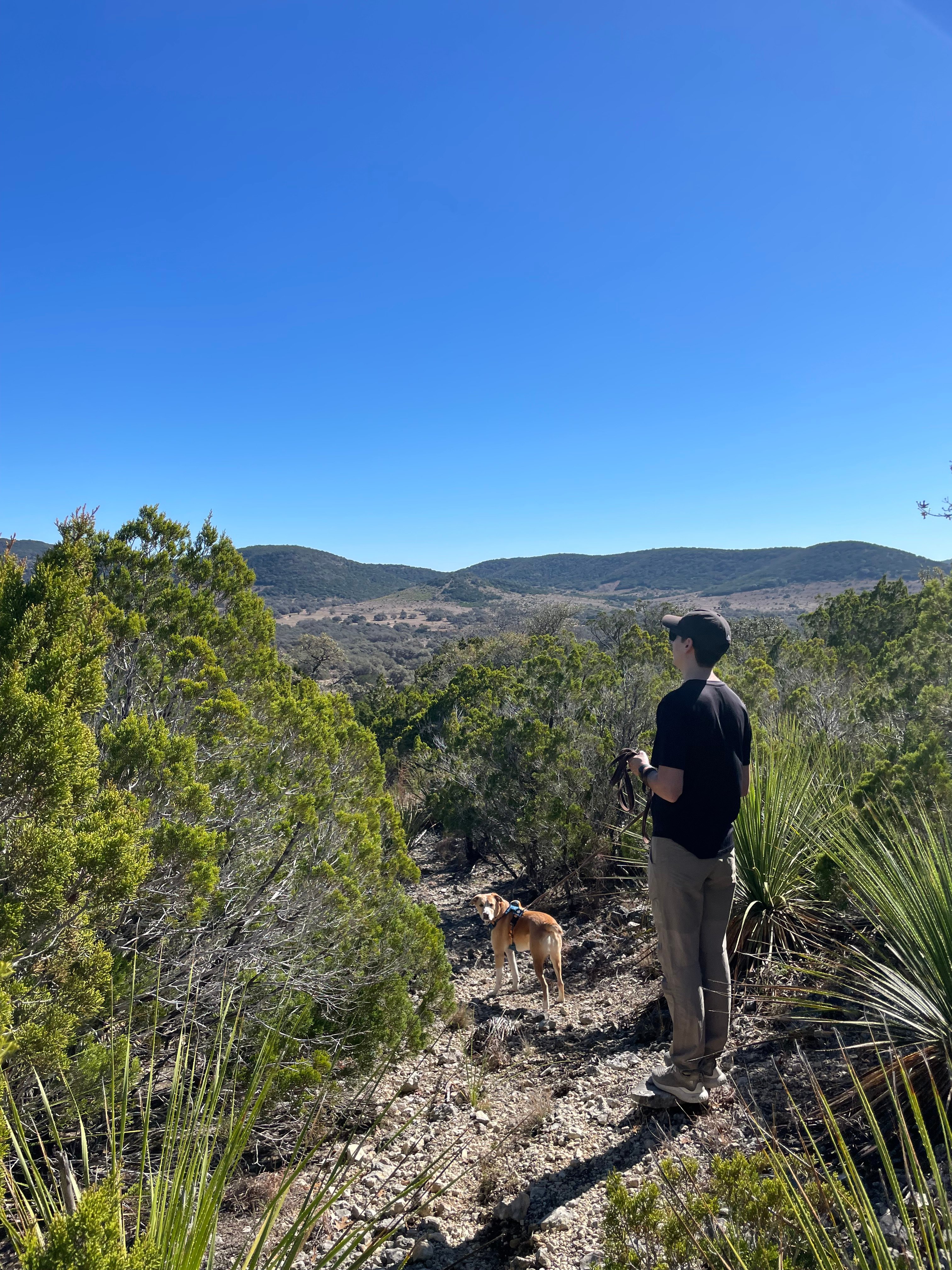 Dark Sky/Hike/Bird/Bike - Utopia