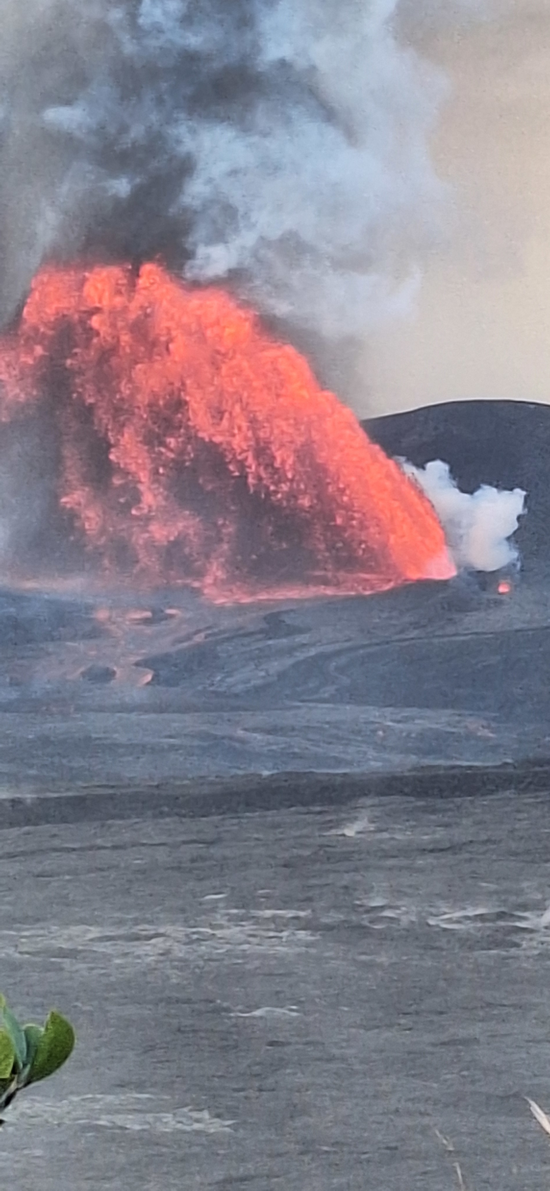 Rebel Rainforest Resort